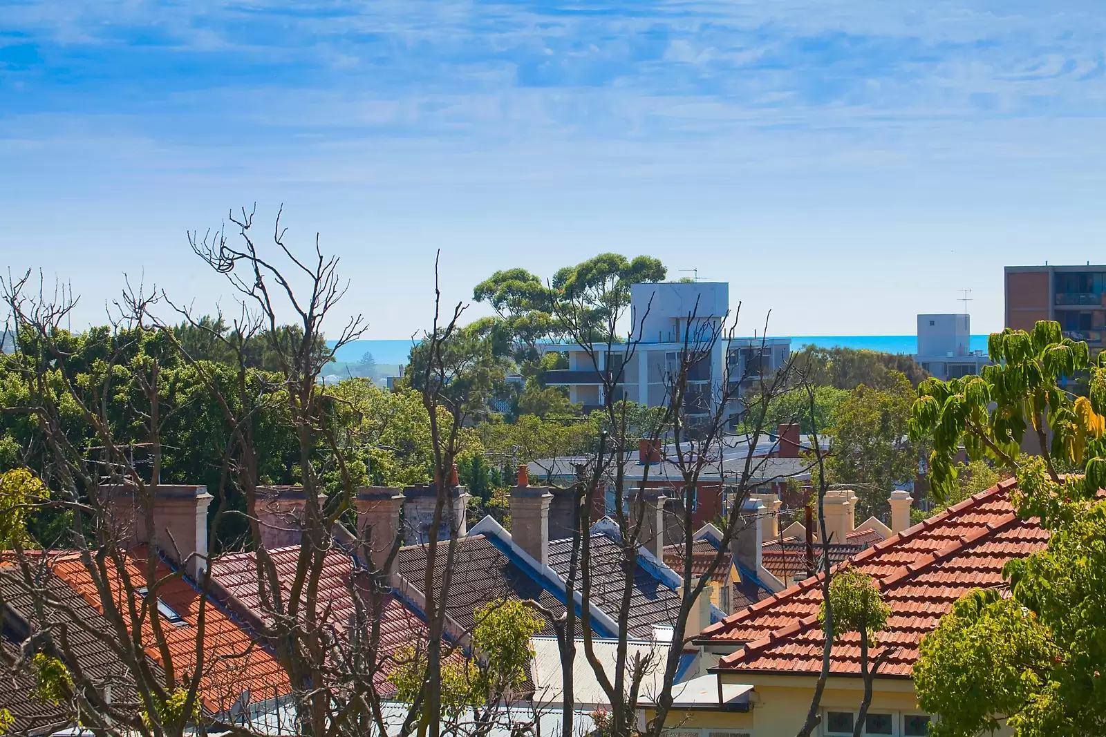 'Oasis' 14/11 Flood Street, Bondi Sold by Sydney Sotheby's International Realty - image 16
