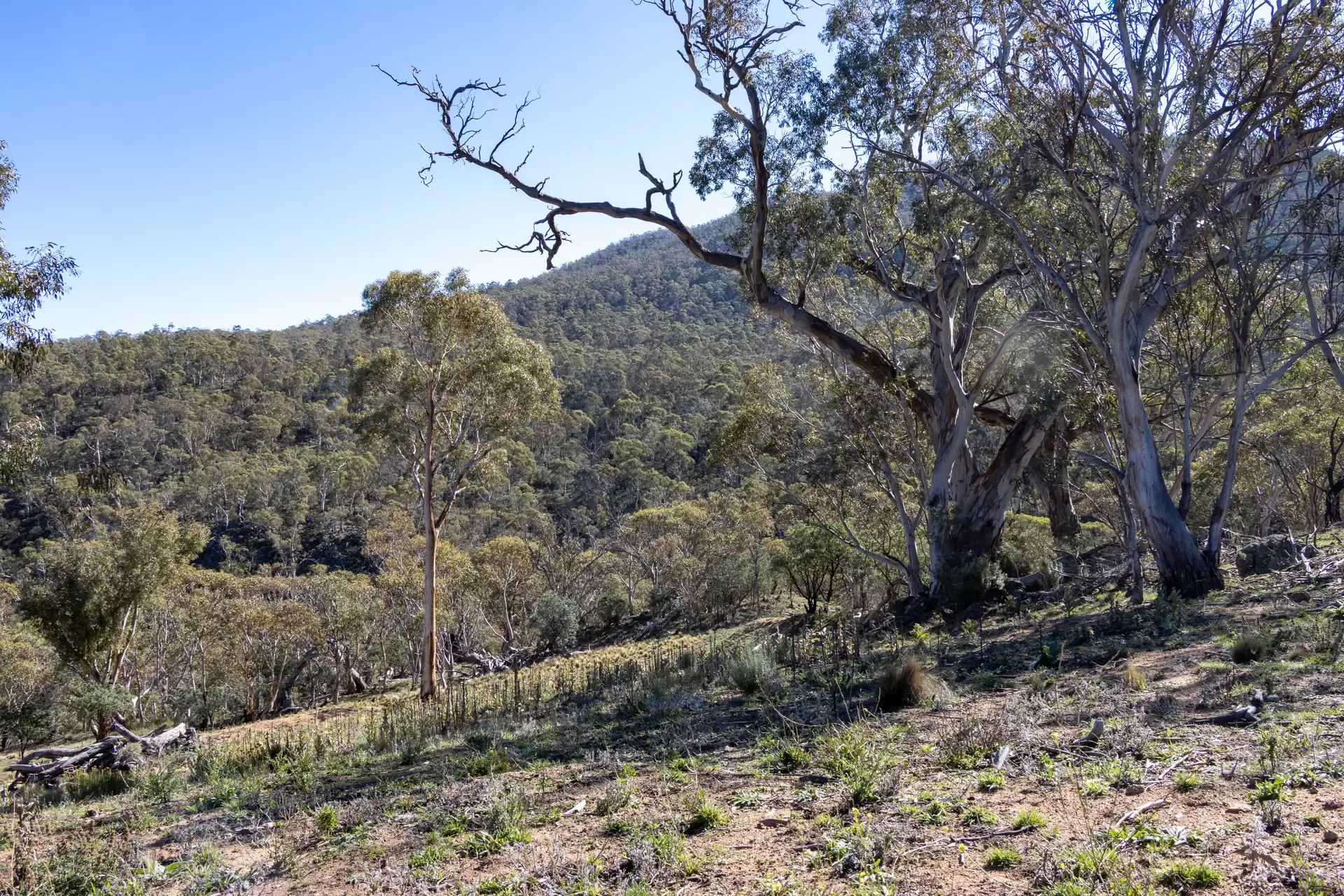 Lot 21, 374 Kalkite Road, Kalkite For Sale by Sydney Sotheby's International Realty - image 3
