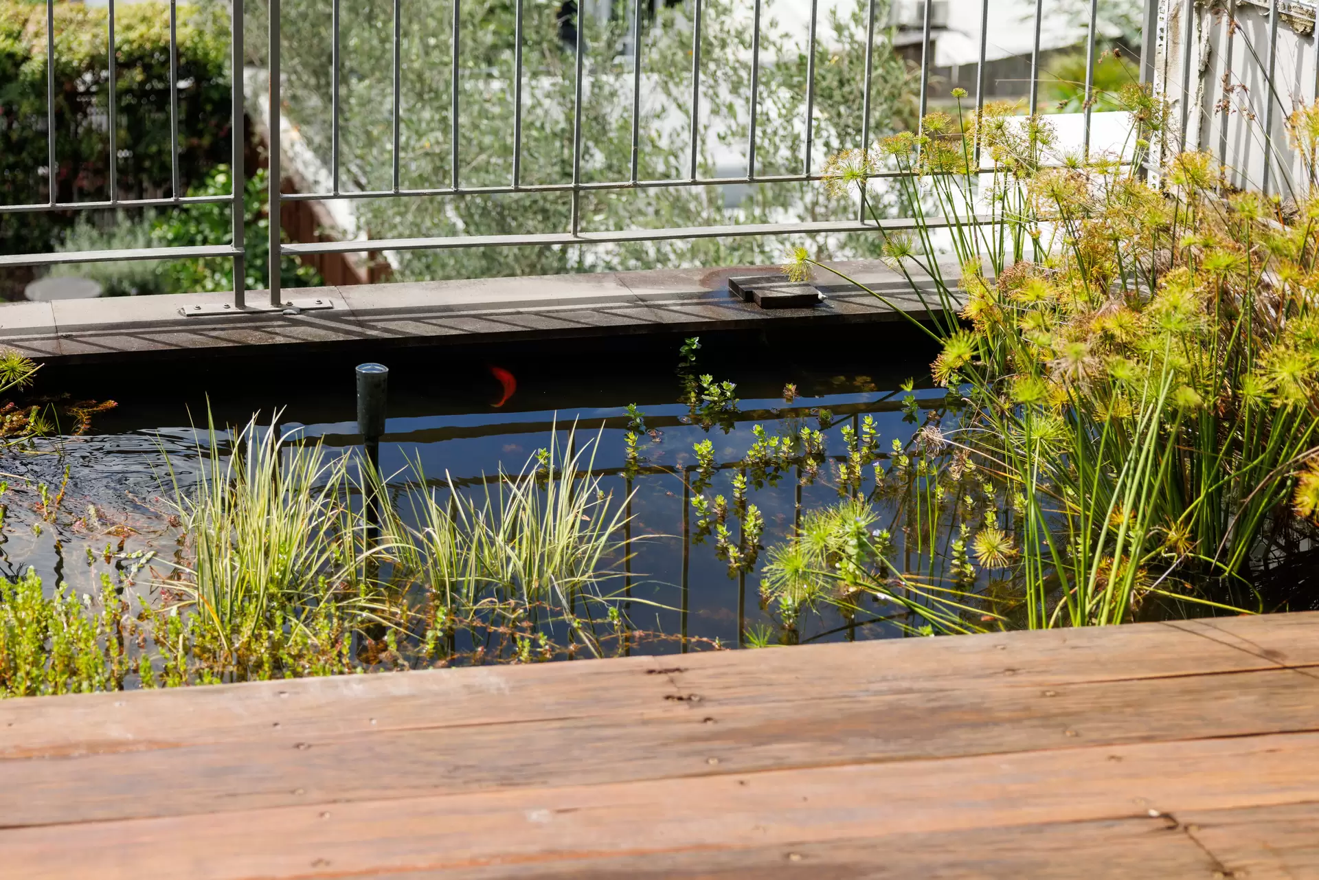 70 Sutherland Street, Paddington Sold by Sydney Sotheby's International Realty - image 1