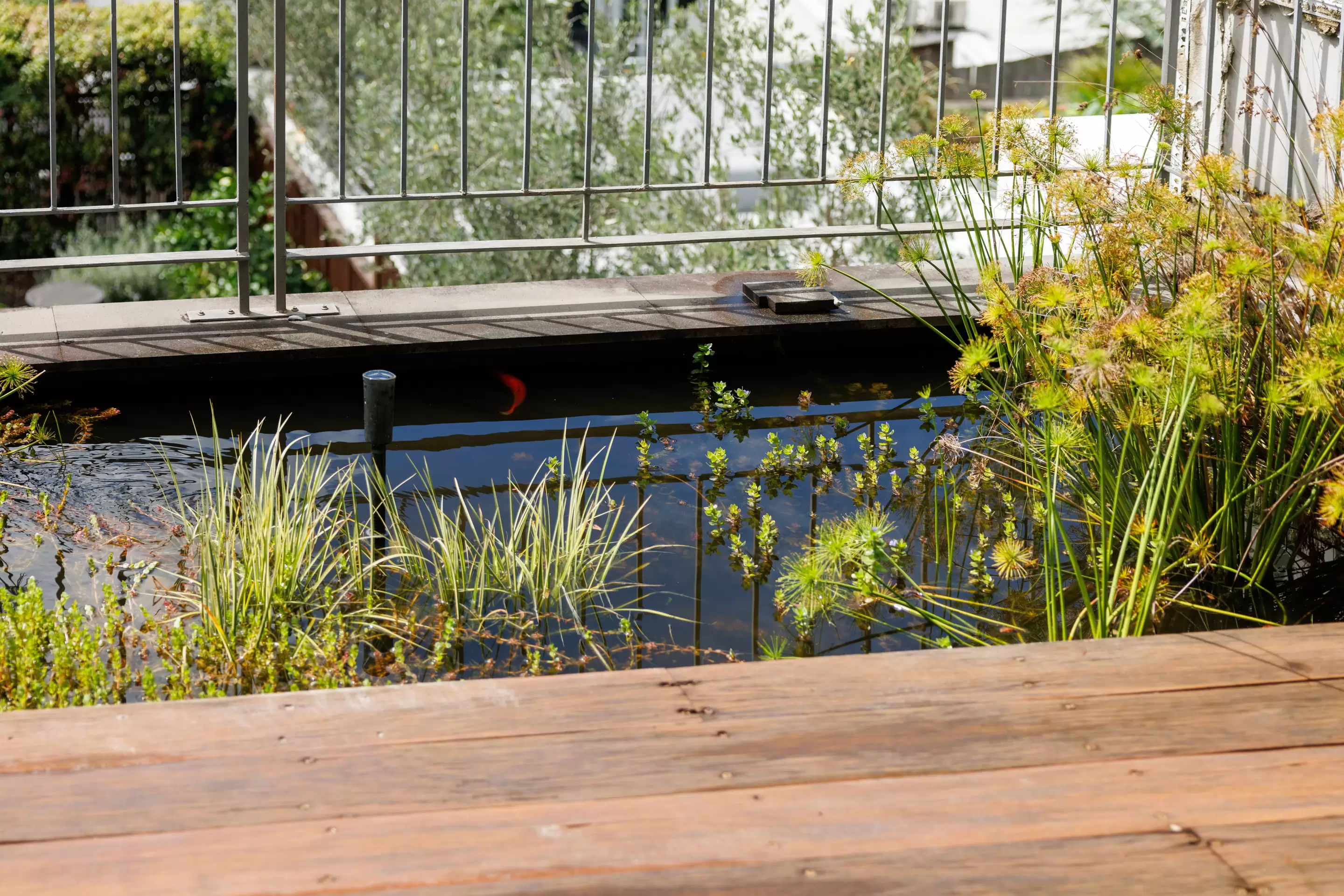 70 Sutherland Street, Paddington Sold by Sydney Sotheby's International Realty - image 19
