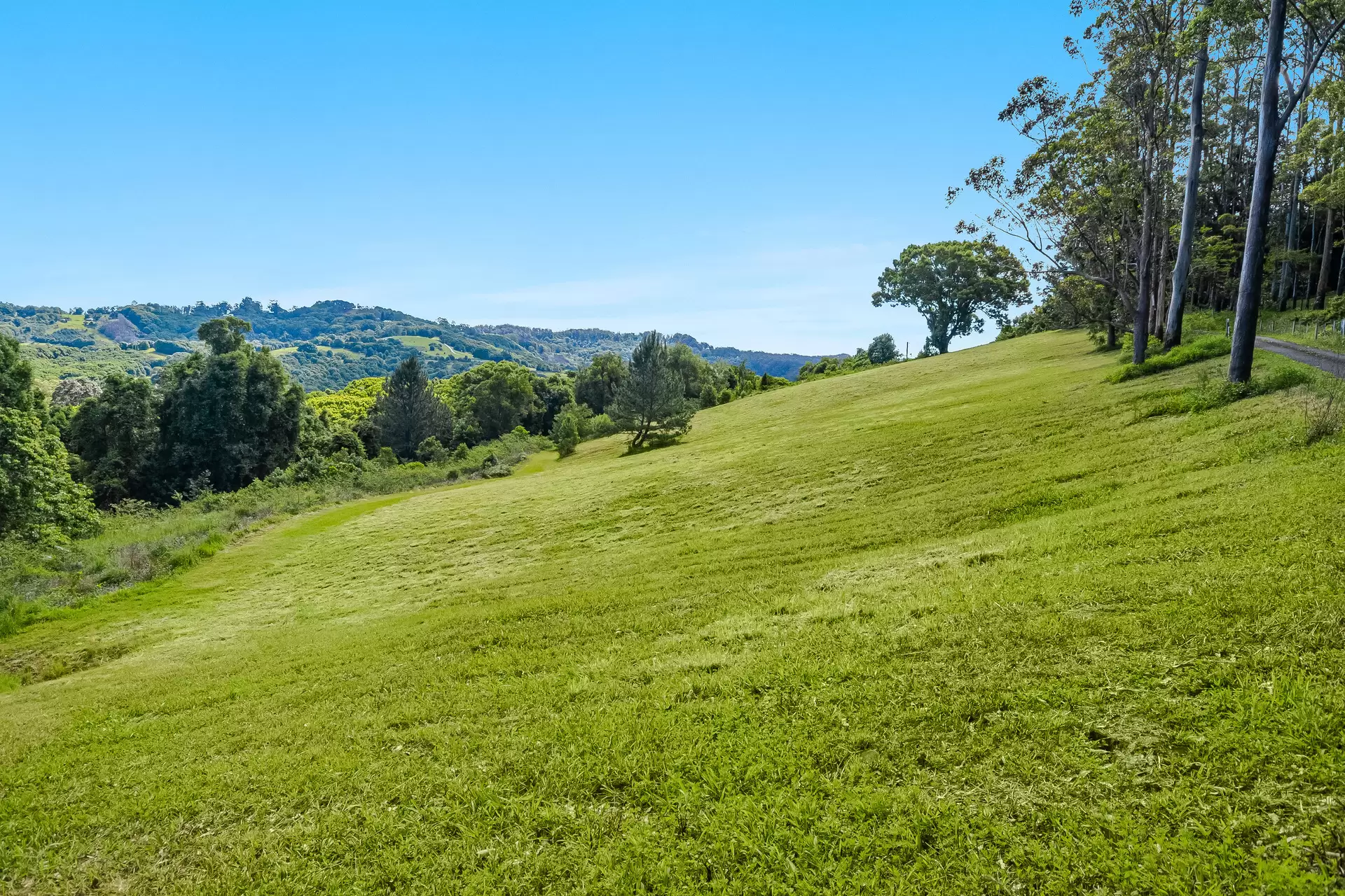 510 Goonengerry Road, Montecollum For Sale by Sydney Sotheby's International Realty - image 4