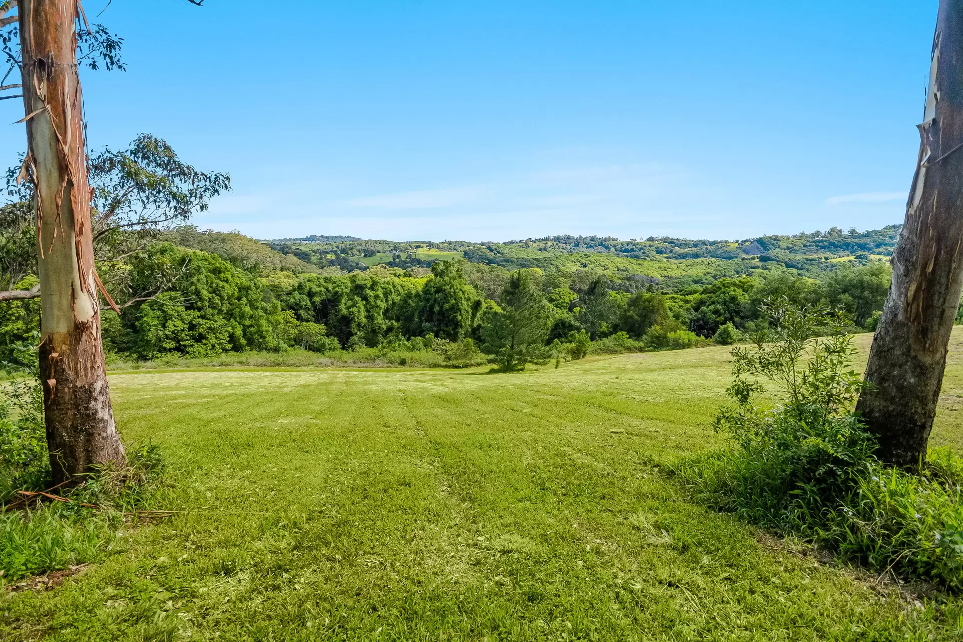 510 Goonengerry Road, Montecollum For Sale by Sydney Sotheby's International Realty - image 10