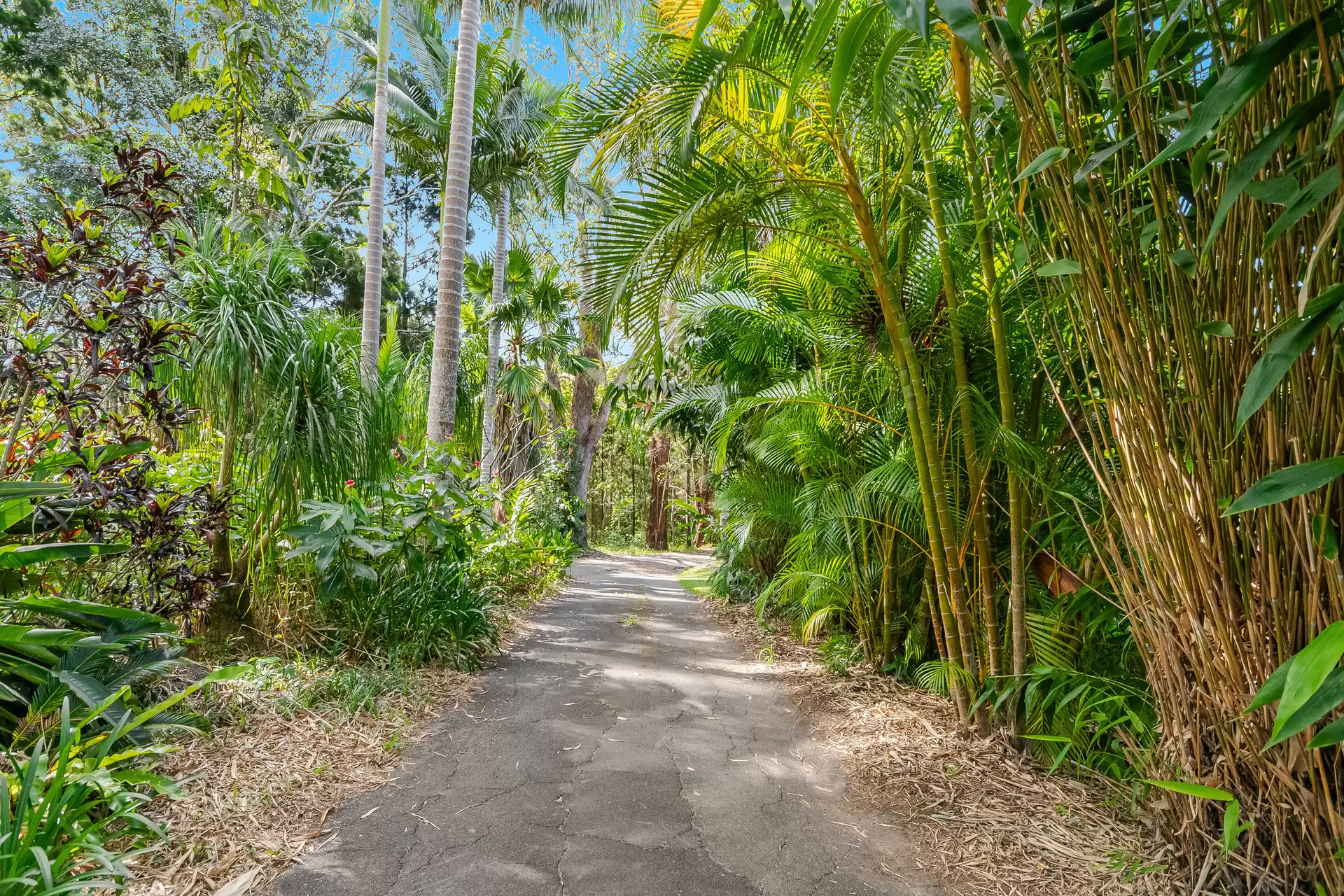510 Goonengerry Road, Montecollum For Sale by Sydney Sotheby's International Realty - image 28
