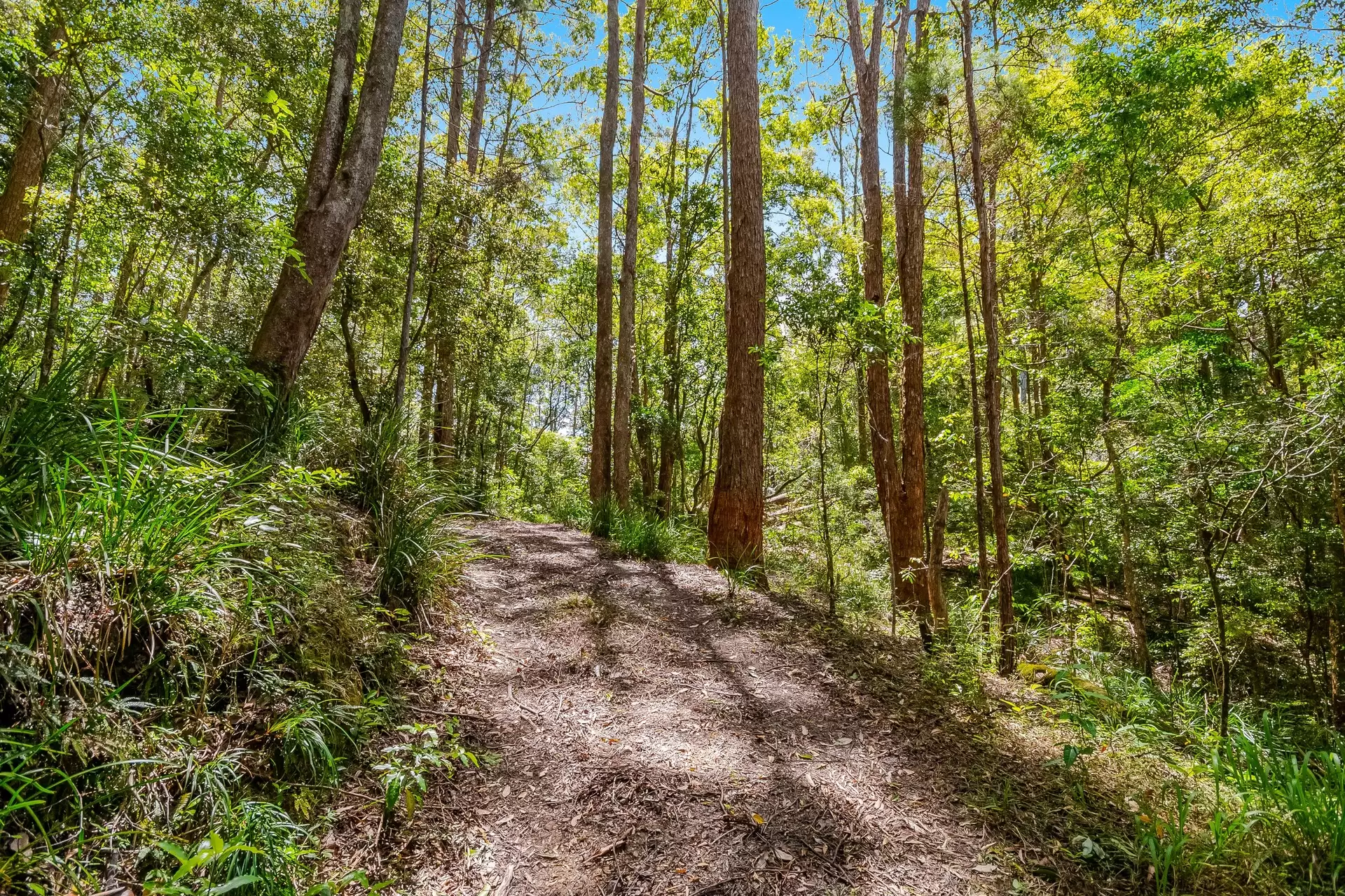 510 Goonengerry Road, Montecollum For Sale by Sydney Sotheby's International Realty - image 14