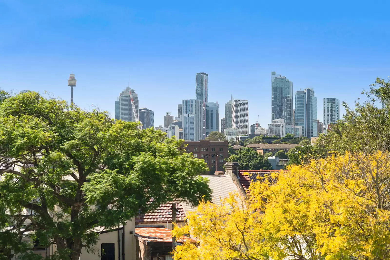 37 Darghan Street, Glebe Sold by Sydney Sotheby's International Realty - image 6