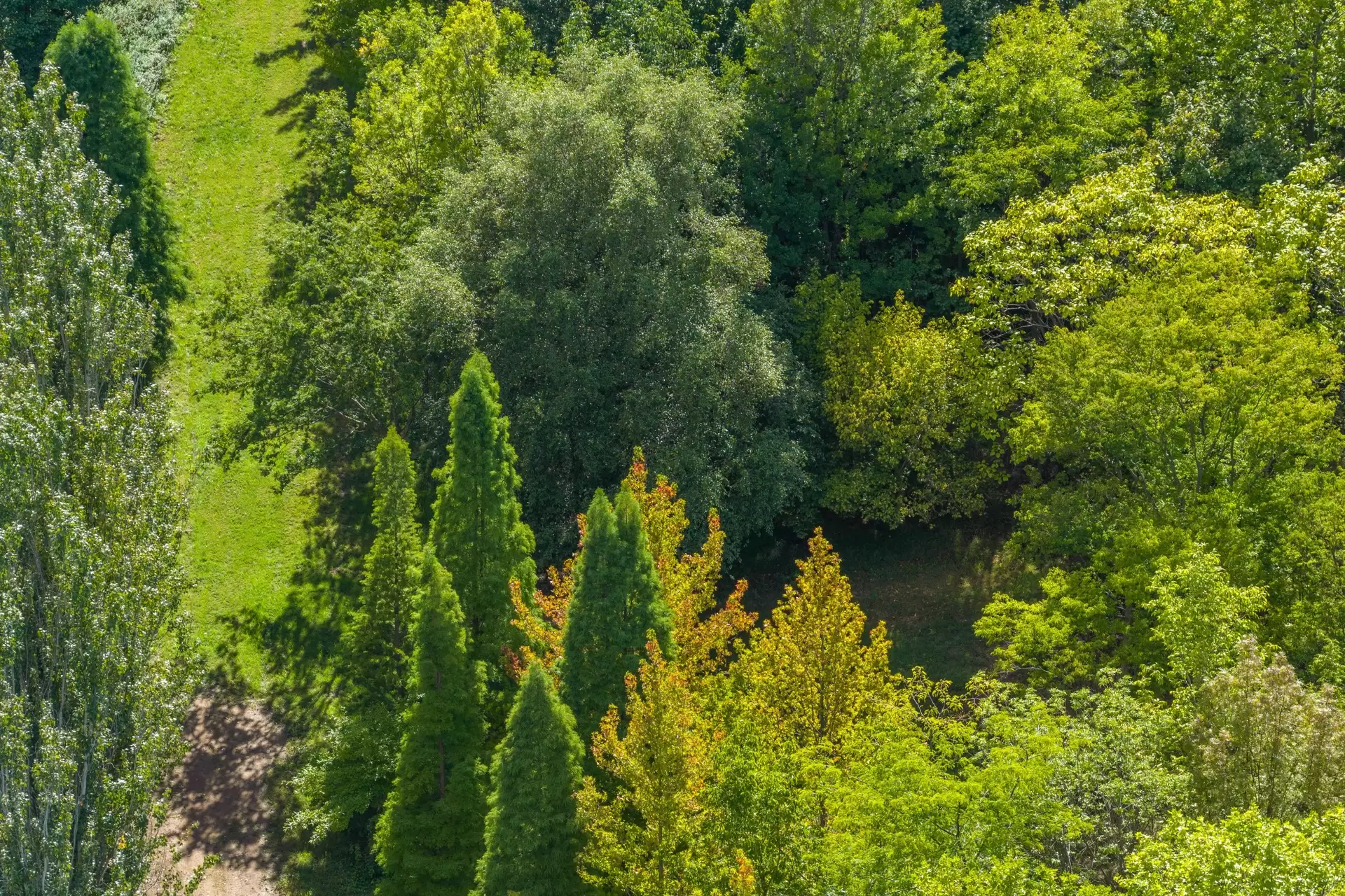 41 Oxleys Hill Road, Bowral For Sale by Sydney Sotheby's International Realty - image 3