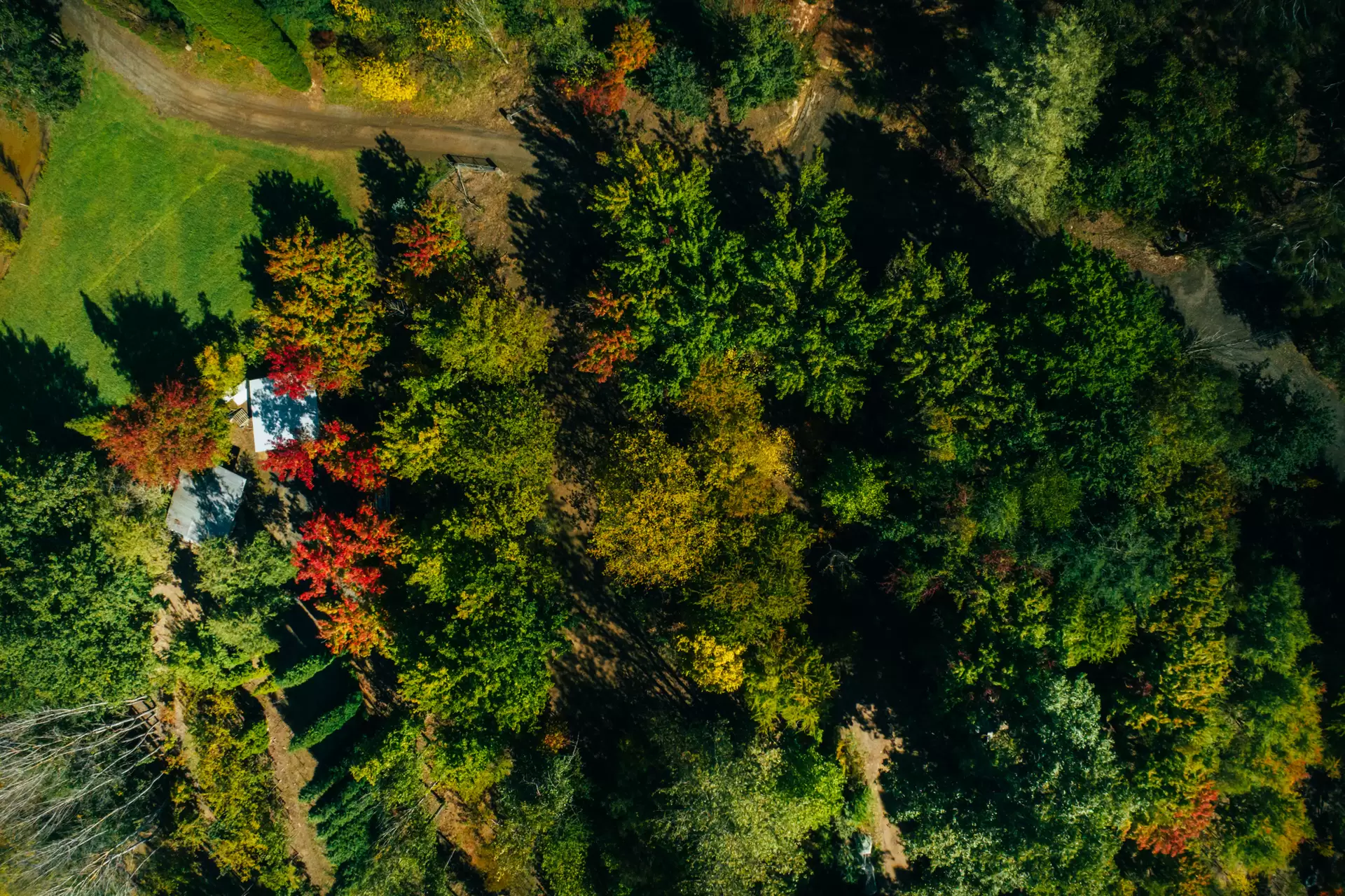 41 Oxleys Hill Road, Bowral For Sale by Sydney Sotheby's International Realty - image 4