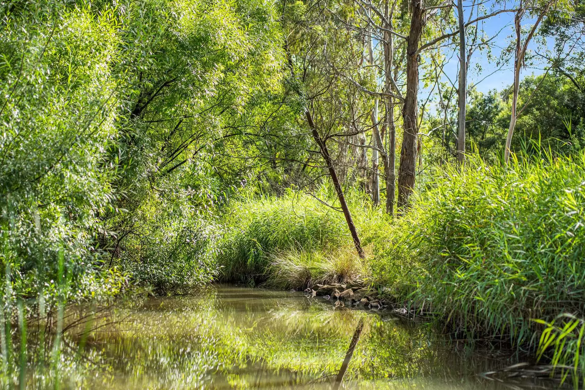 41 Oxleys Hill Road, Bowral For Sale by Sydney Sotheby's International Realty - image 14