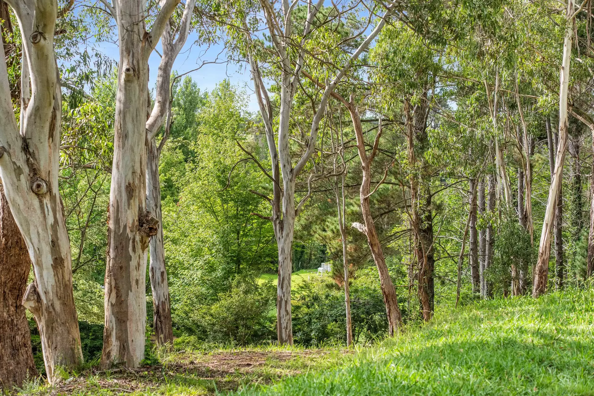 41 Oxleys Hill Road, Bowral For Sale by Sydney Sotheby's International Realty - image 12
