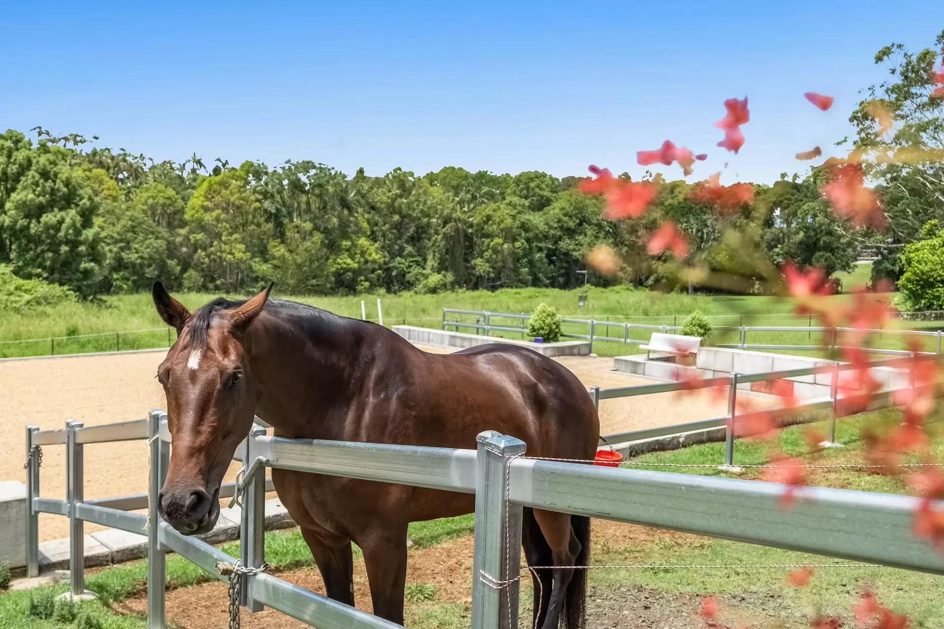 16 Tara Downs, Lennox Head For Sale by Sydney Sotheby's International Realty - image 18