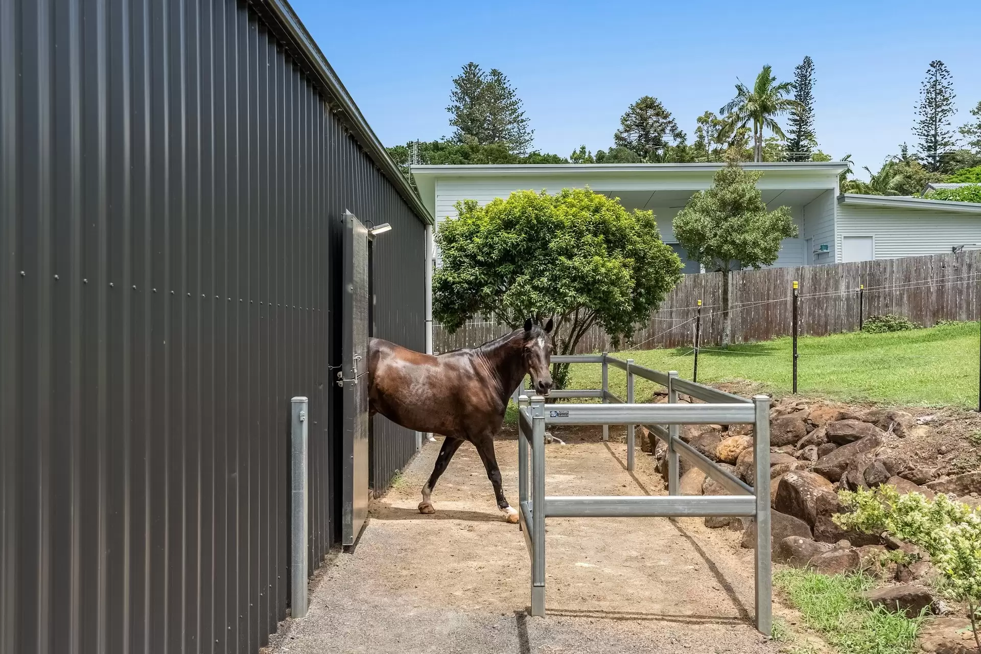 16 Tara Downs, Lennox Head For Sale by Sydney Sotheby's International Realty - image 23