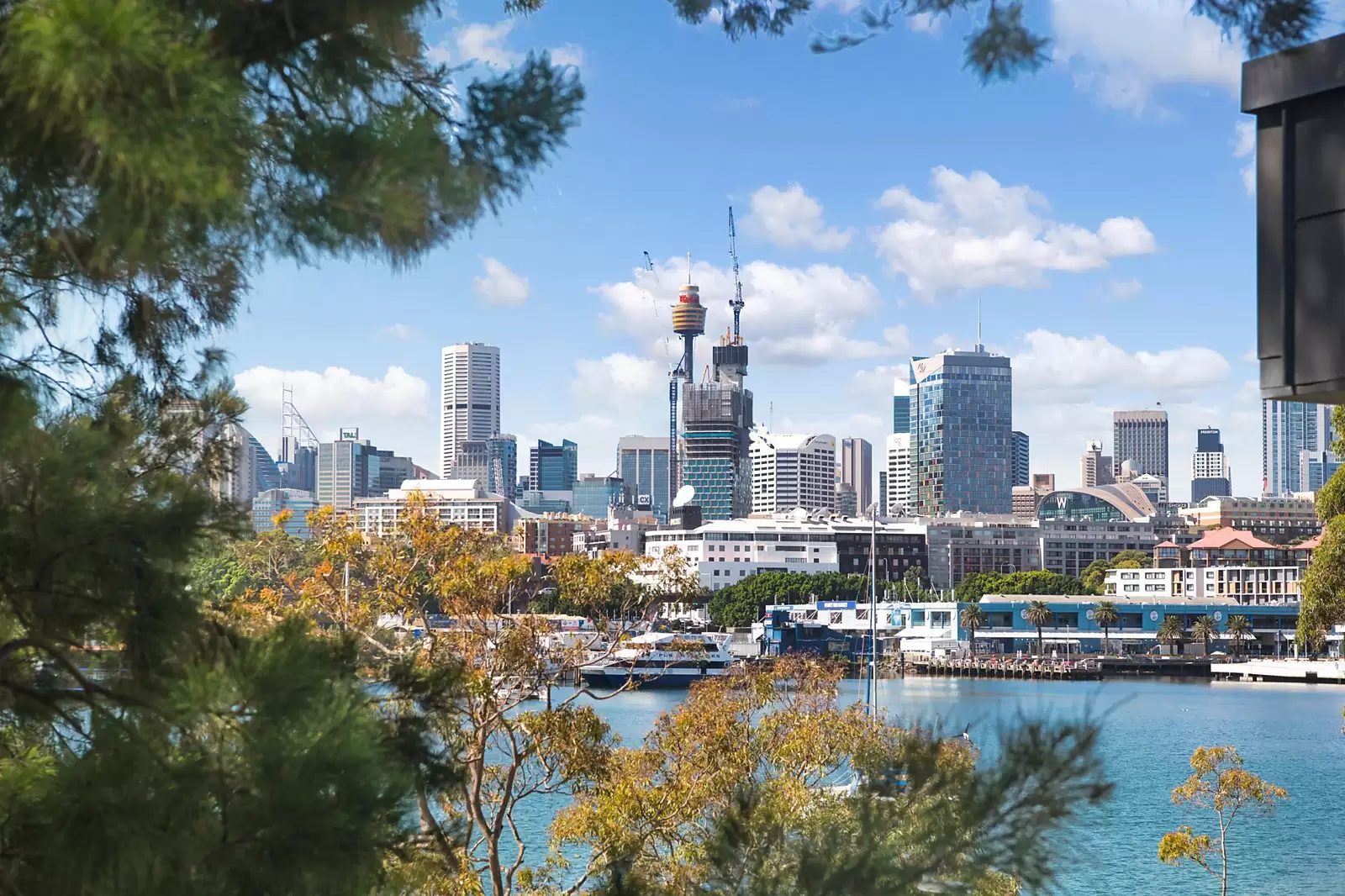 22/29-31 Cook Street, Glebe Sold by Sydney Sotheby's International Realty - image 3