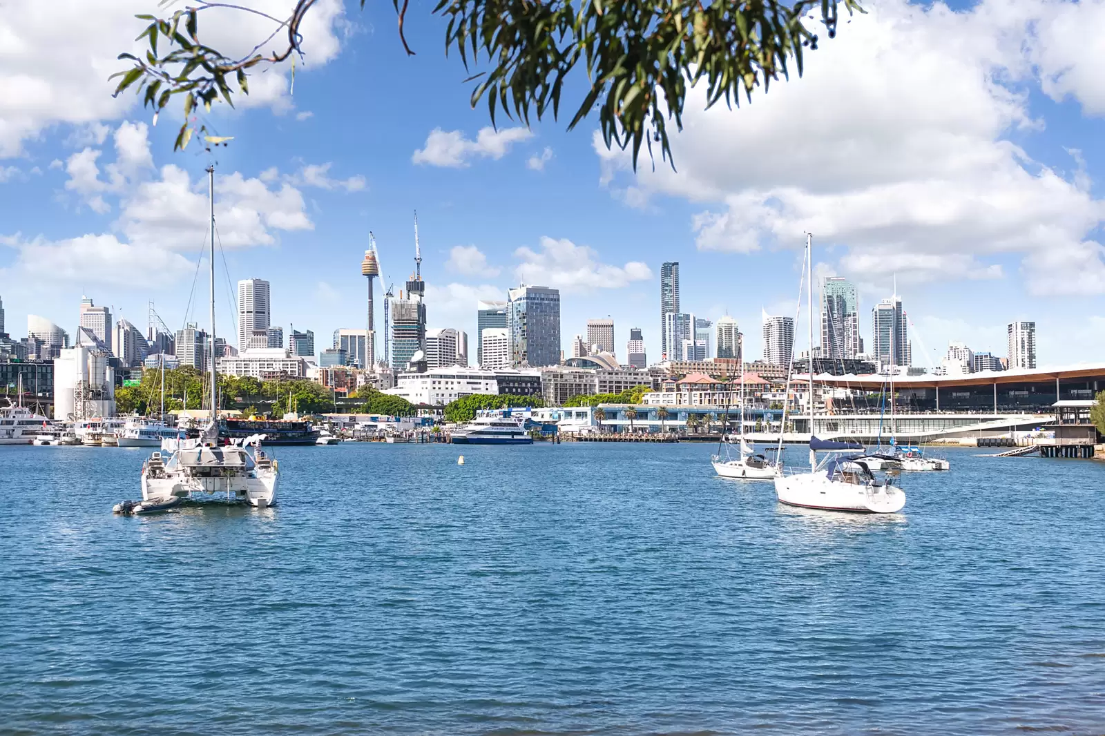 22/29-31 Cook Street, Glebe Sold by Sydney Sotheby's International Realty - image 14