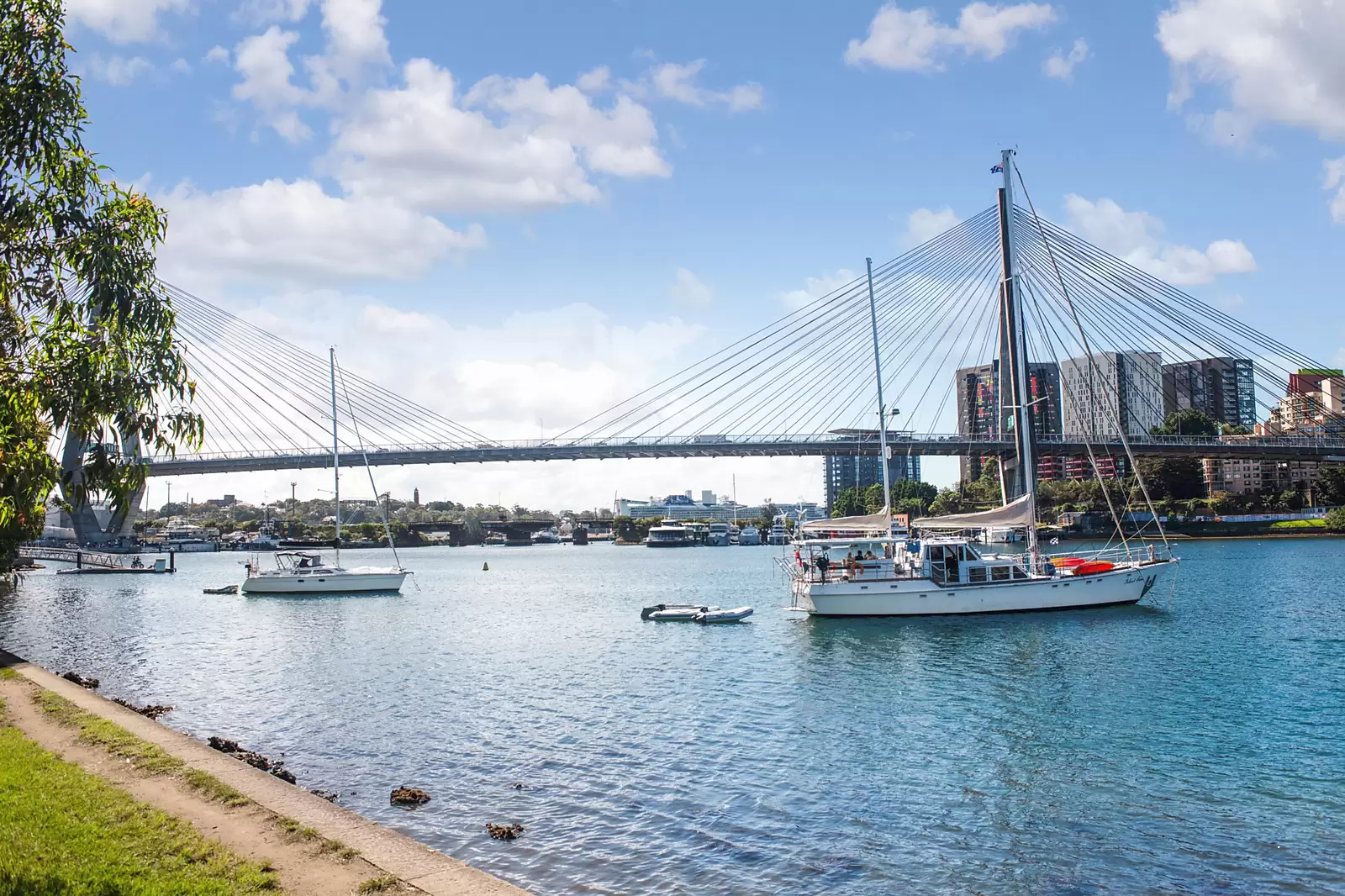 22/29-31 Cook Street, Glebe Sold by Sydney Sotheby's International Realty - image 12