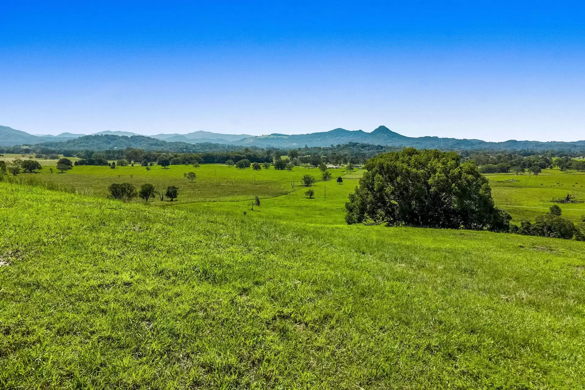 Lot 2 60 Lagoon Drive, Myocum For Sale by Sydney Sotheby's International Realty - image 10