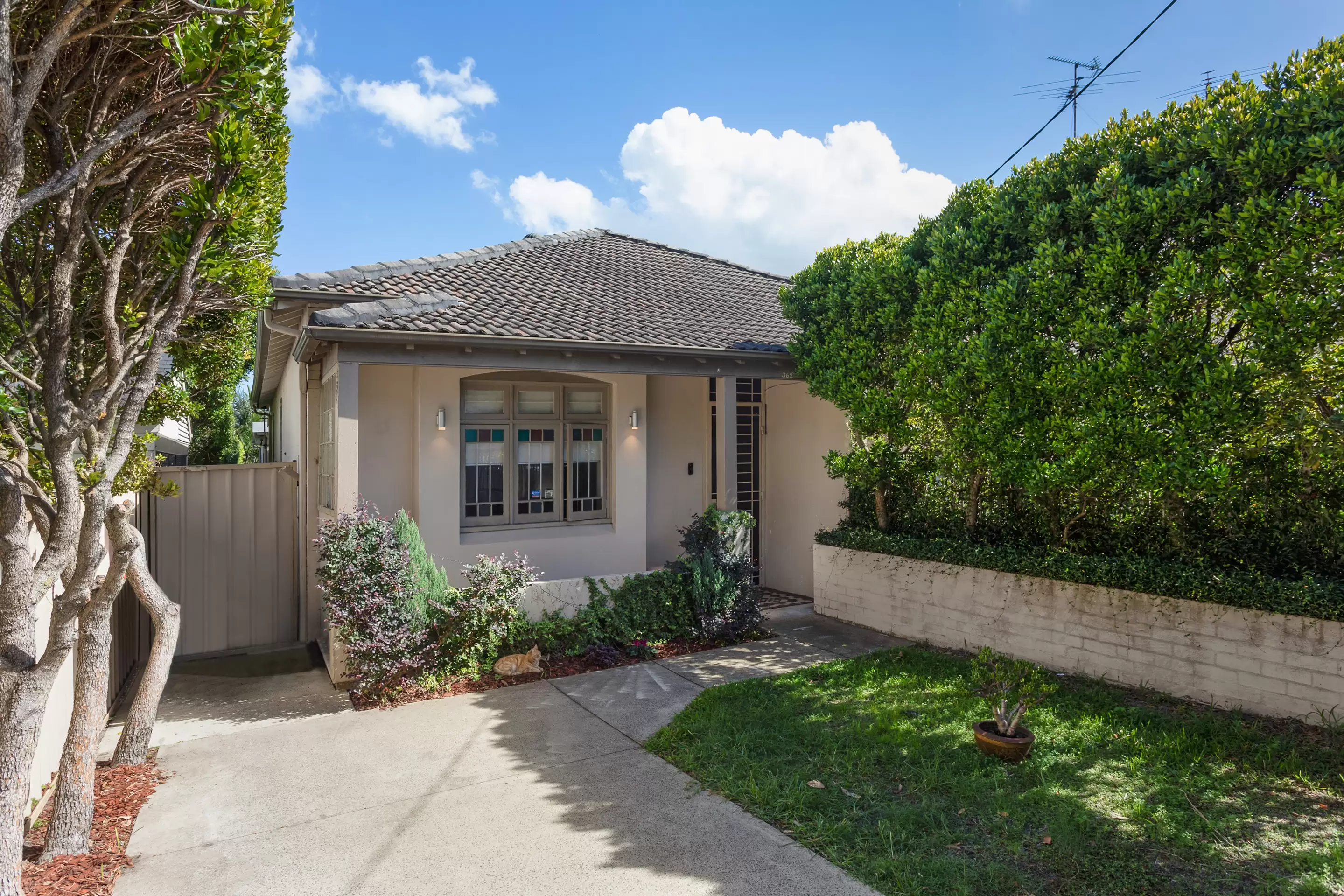 362 Avoca Street, Kingsford Sold by Sydney Sotheby's International Realty - image 9