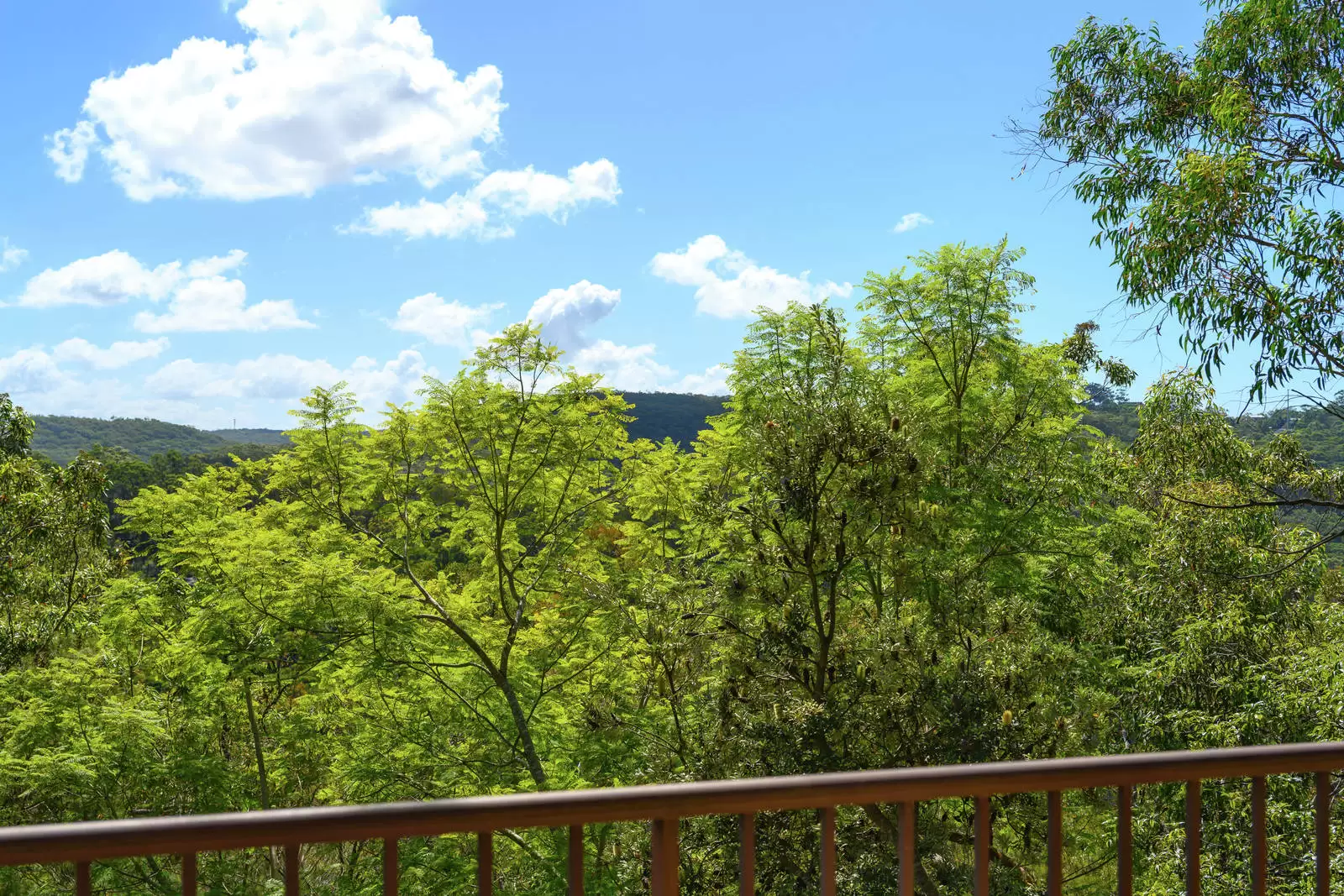 37 Kimberley Street, East Killara Sold by Sydney Sotheby's International Realty - image 19