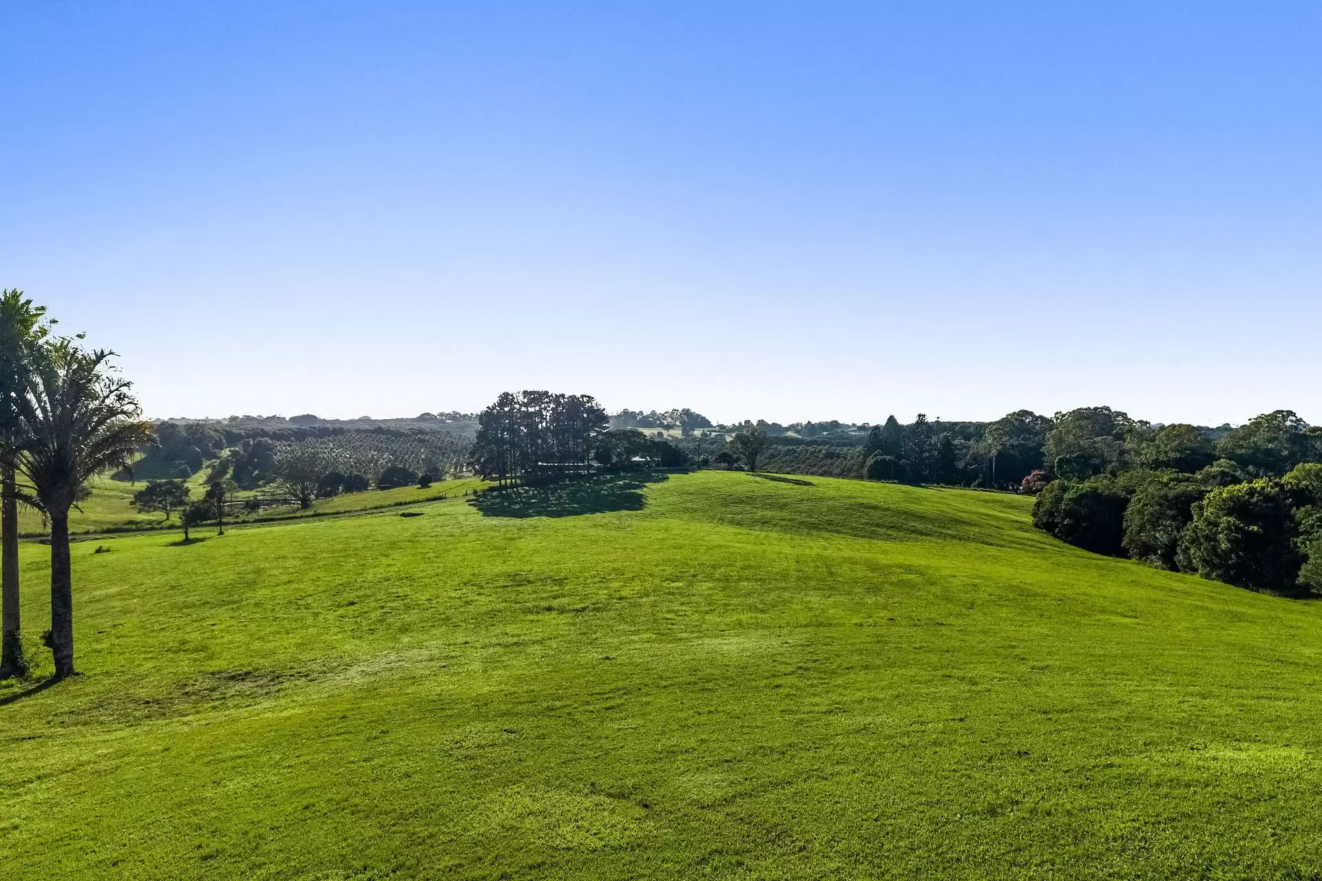 330 Fernleigh Road, Fernleigh Sold by Sydney Sotheby's International Realty - image 32