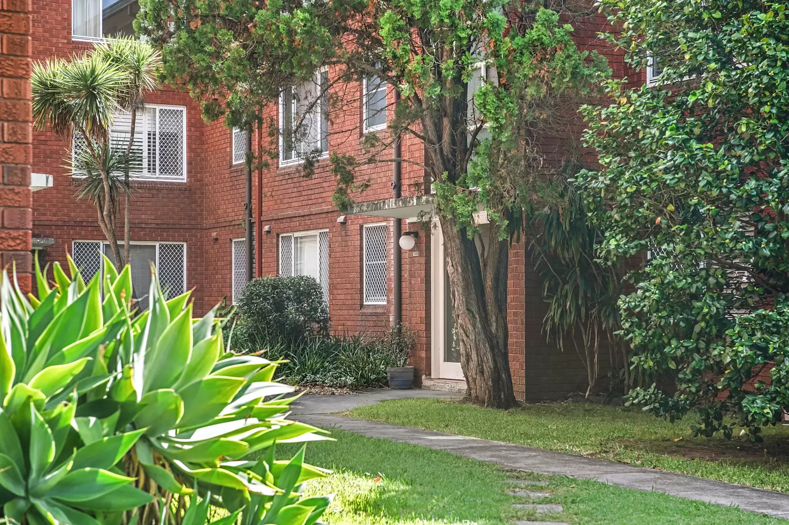 23/8 Orpington Street, Ashfield Sold by Sydney Sotheby's International Realty - image 2