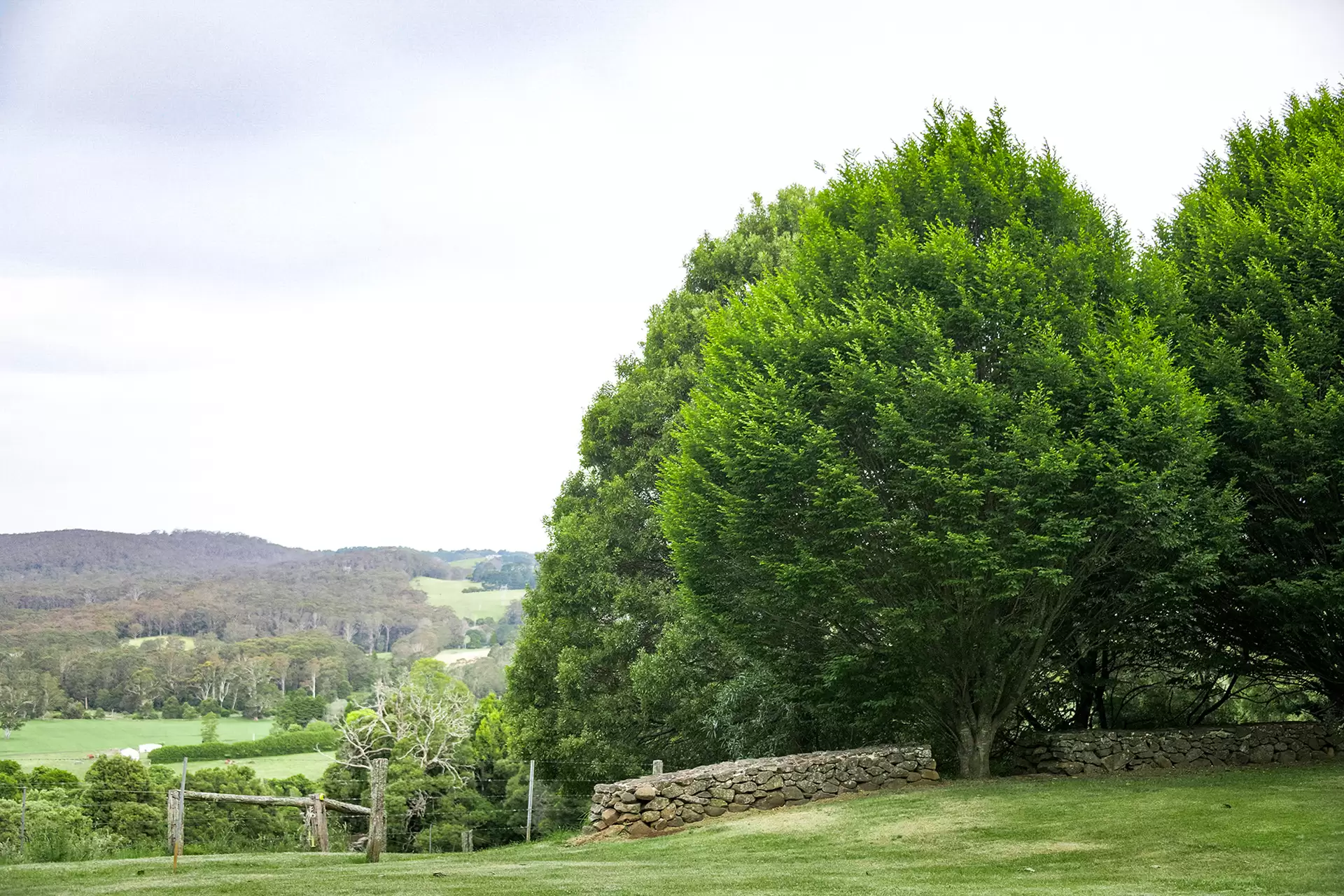 1821 Kangaloon Road, Kangaloon For Sale by Sydney Sotheby's International Realty - image 17
