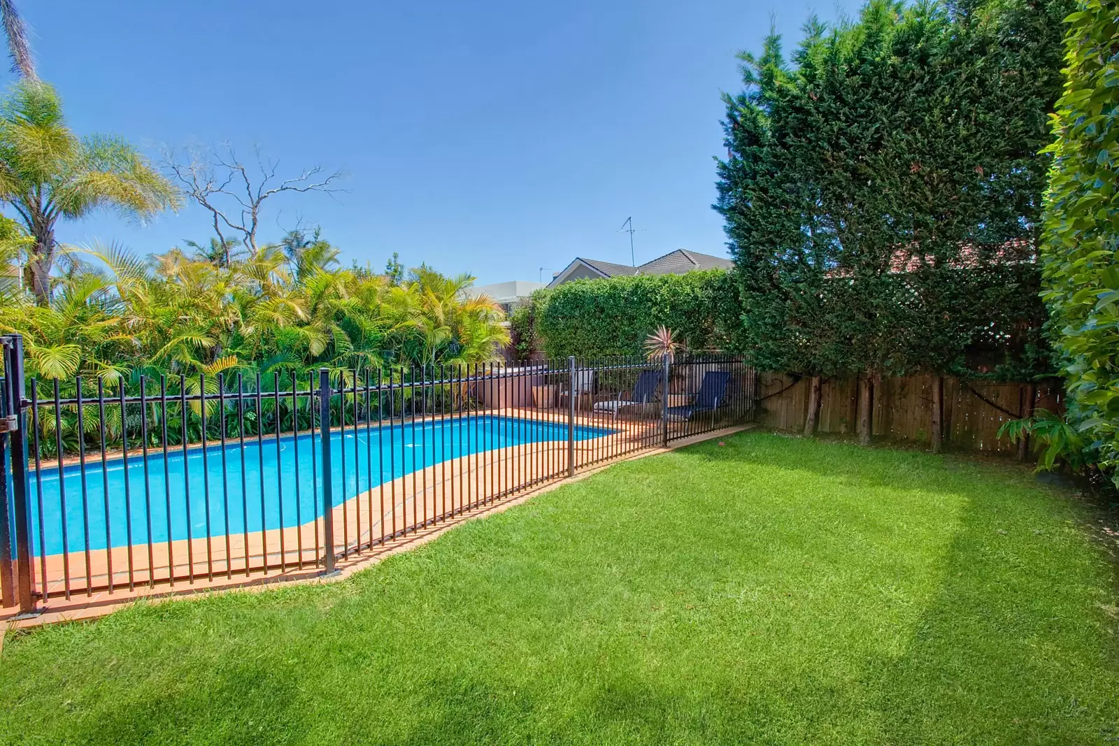 158 Military Road, Dover Heights Sold by Sydney Sotheby's International Realty - image 6