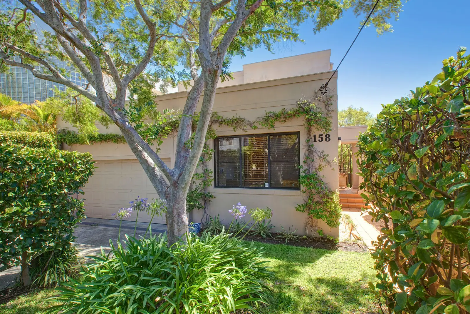 158 Military Road, Dover Heights Sold by Sydney Sotheby's International Realty - image 2