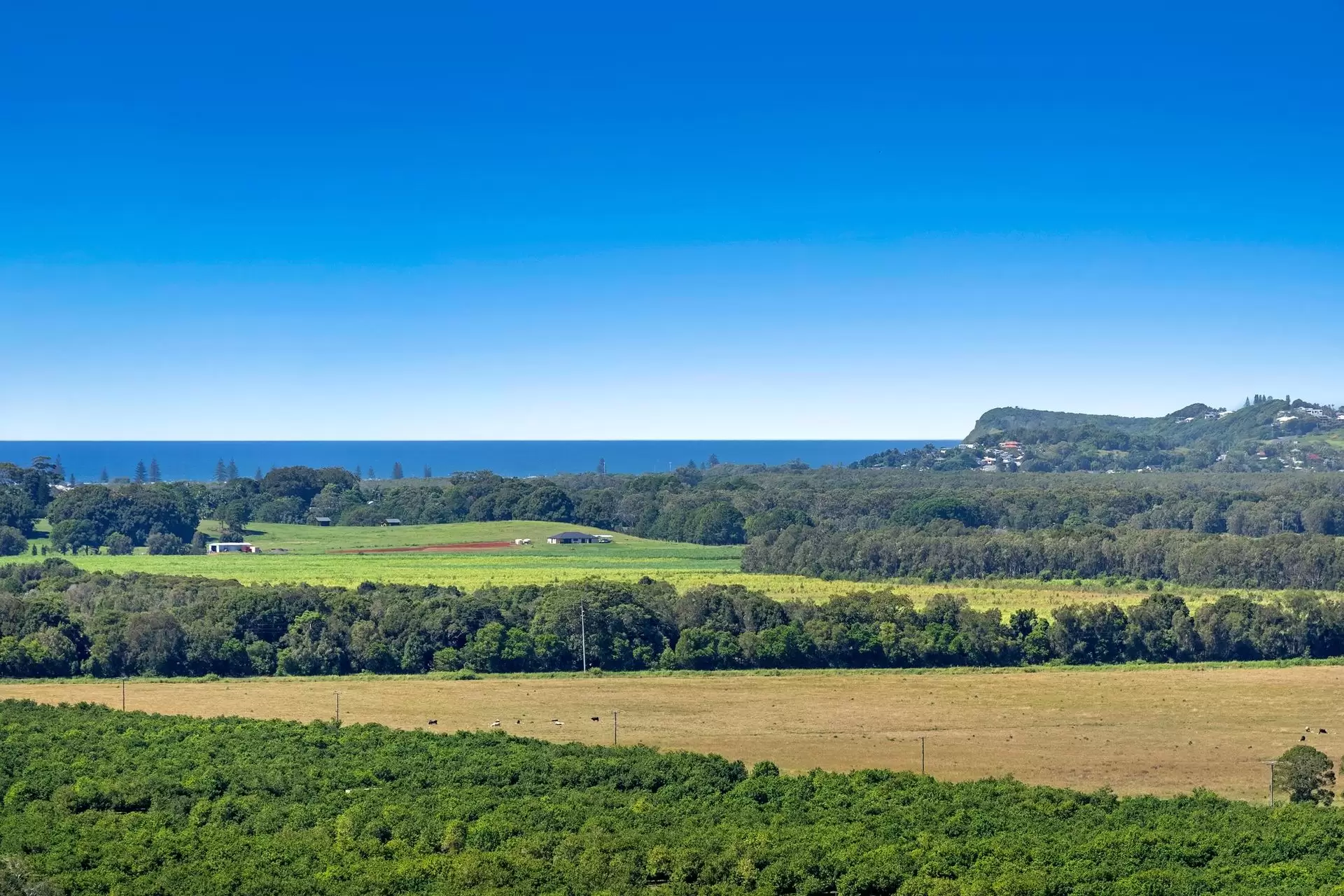 14 Edward Place, Knockrow For Sale by Sydney Sotheby's International Realty - image 6