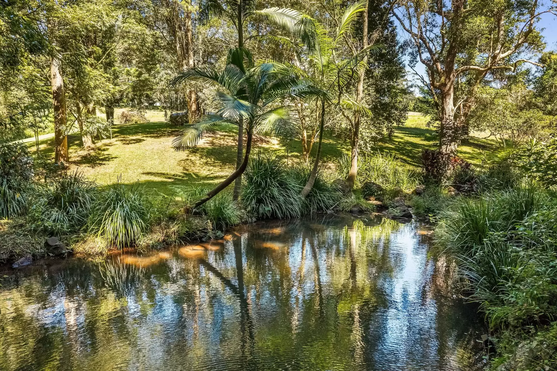 120 Alstonvale Road, Alstonvale Sold by Sydney Sotheby's International Realty - image 3