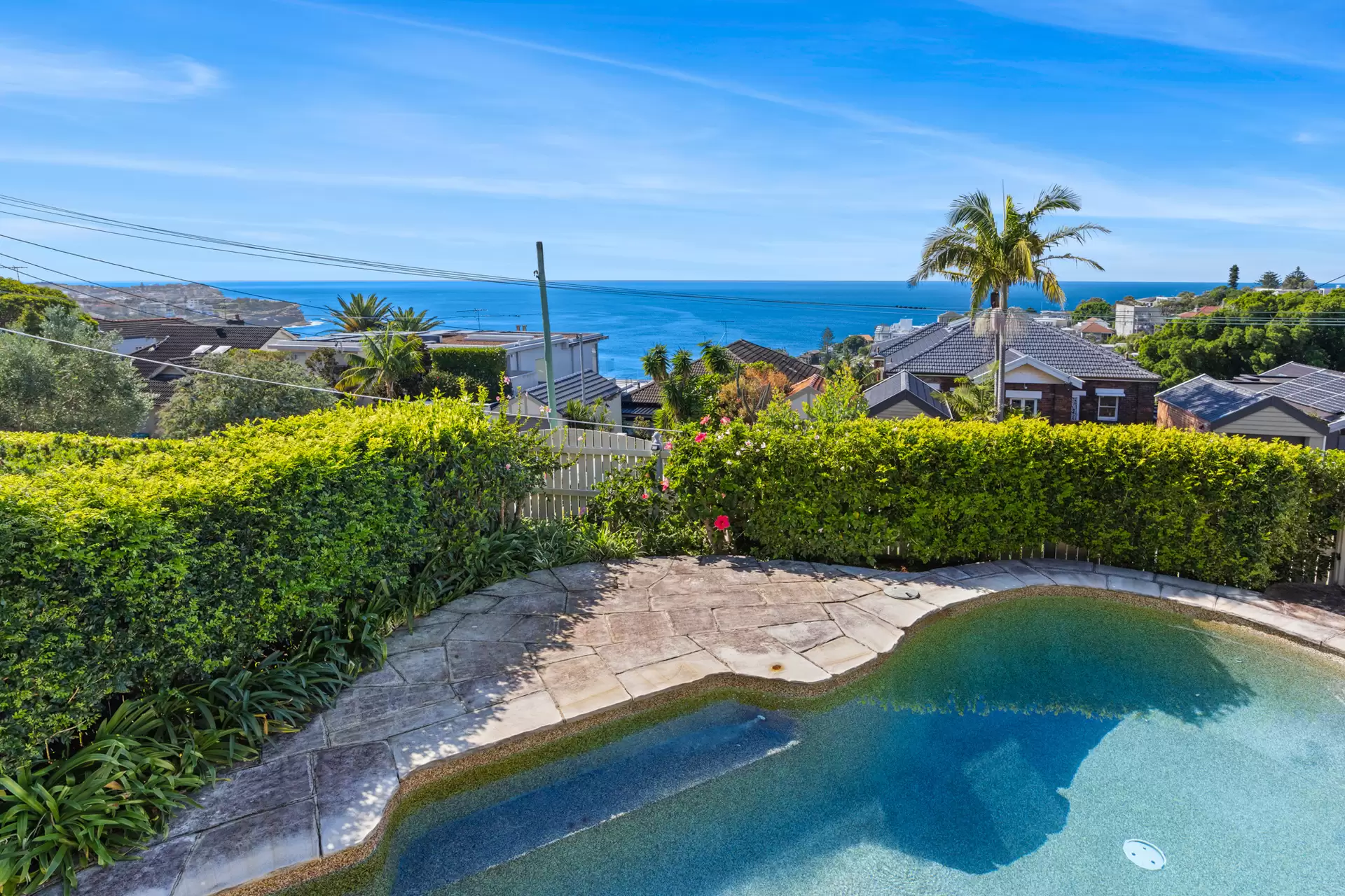 19 St Thomas Street, Bronte For Sale by Sydney Sotheby's International Realty - image 3