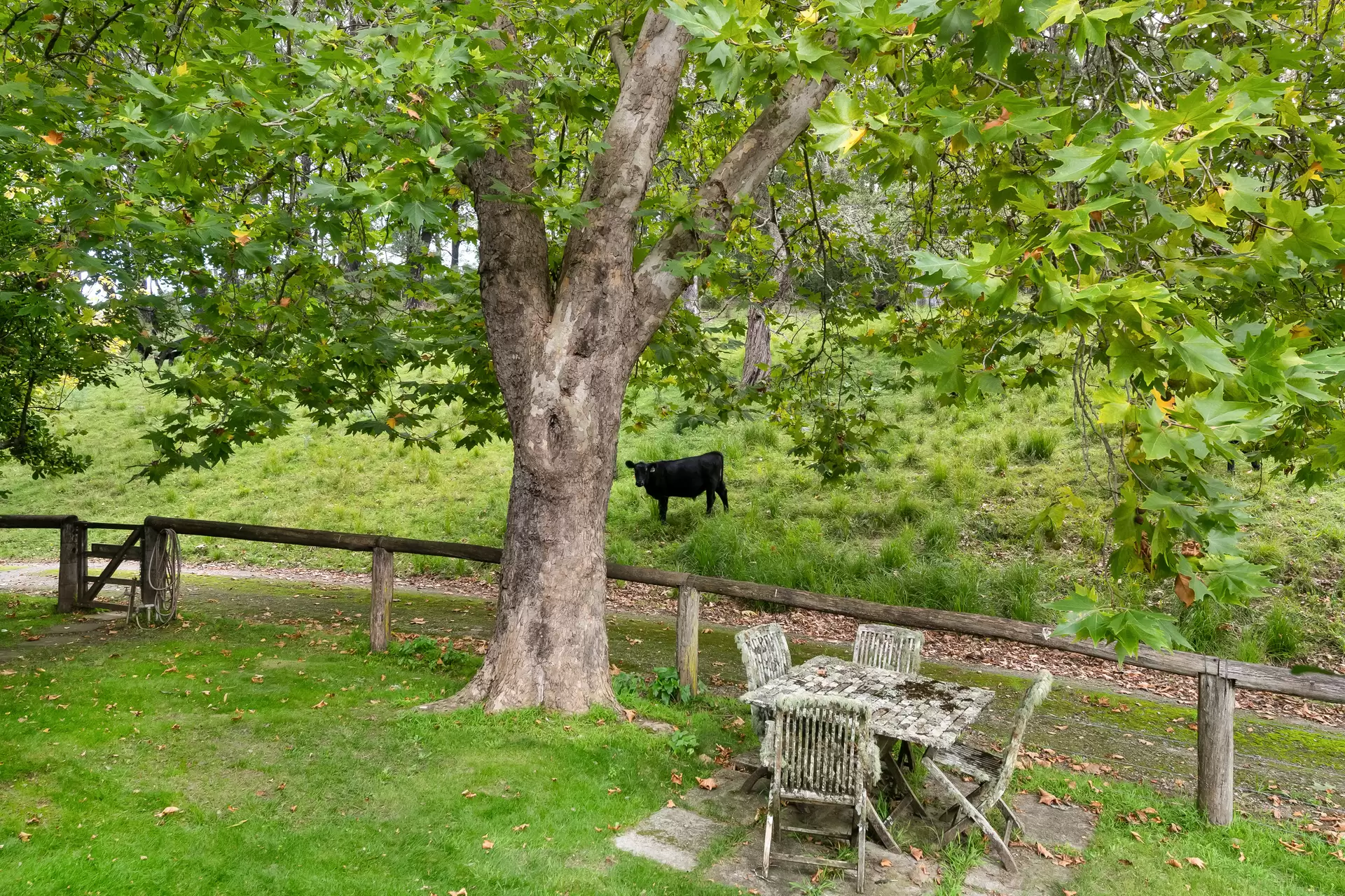 440 Stonequarry Creek (via Rockleigh Road) Road, Exeter For Sale by Sydney Sotheby's International Realty - image 18