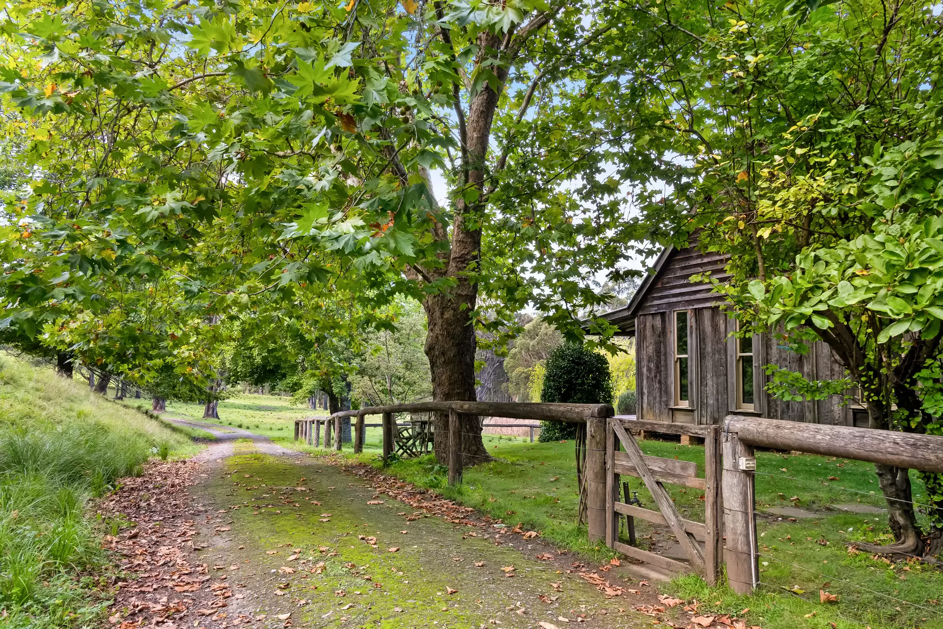 440 Stonequarry Creek (via Rockleigh Road) Road, Exeter For Sale by Sydney Sotheby's International Realty - image 4