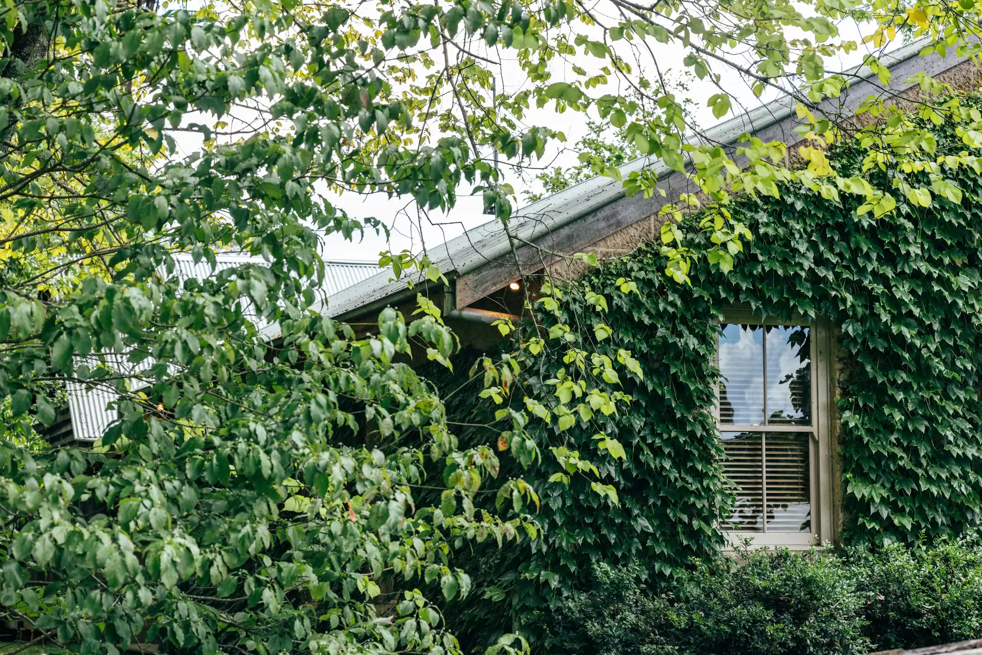 440 Stonequarry Creek (via Rockleigh Road) Road, Exeter For Sale by Sydney Sotheby's International Realty - image 19