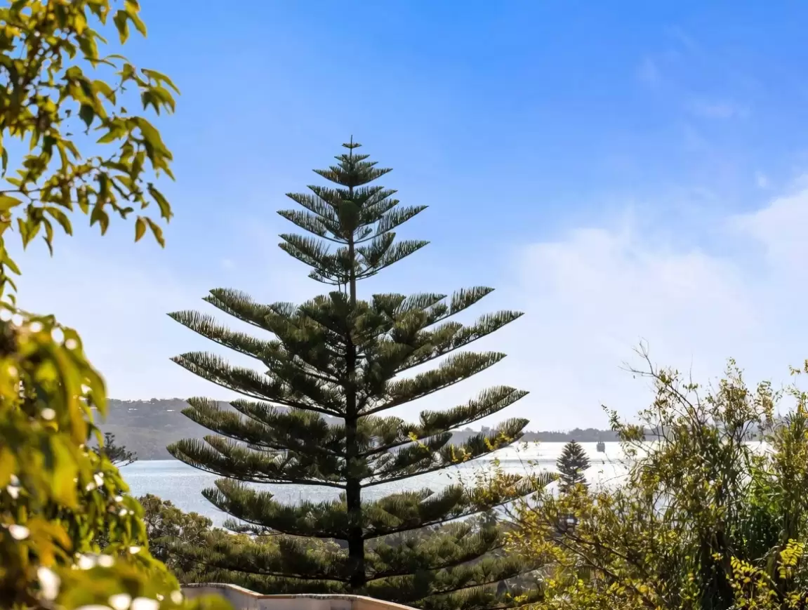 2/230 New South Head Road, Edgecliff Leased by Sydney Sotheby's International Realty - image 6
