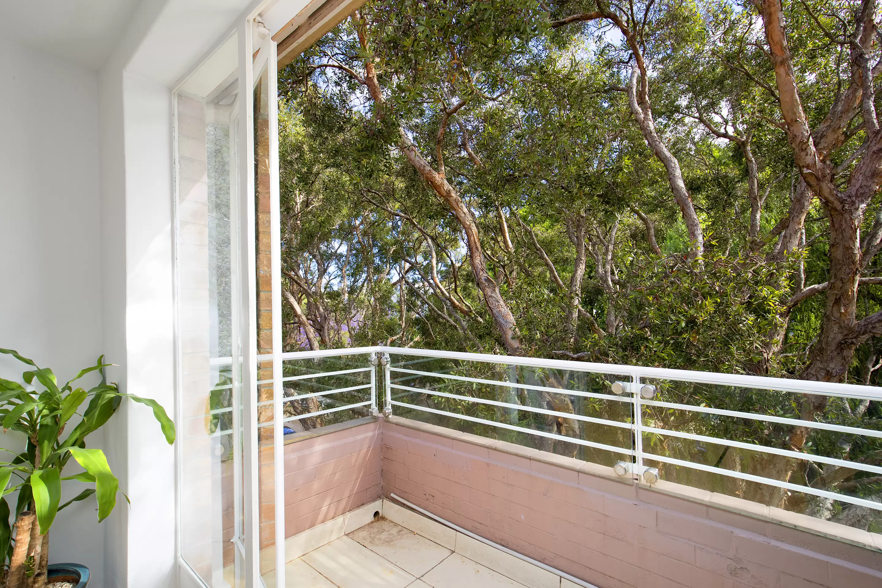 7/9 Guilfoyle Avenue, Double Bay Leased by Sydney Sotheby's International Realty - image 5