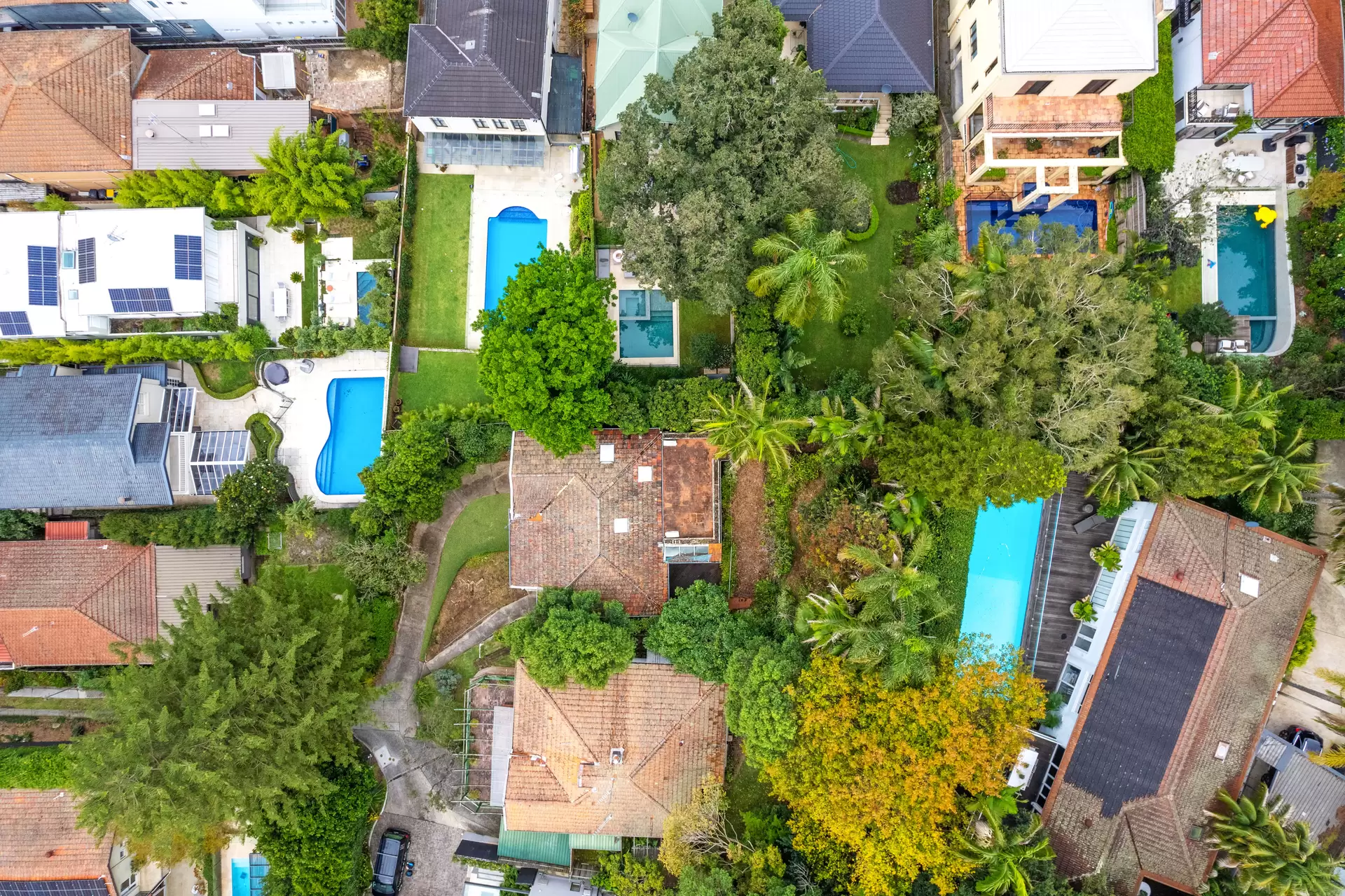 115 Manning Road, Woollahra Auction by Sydney Sotheby's International Realty - image 1