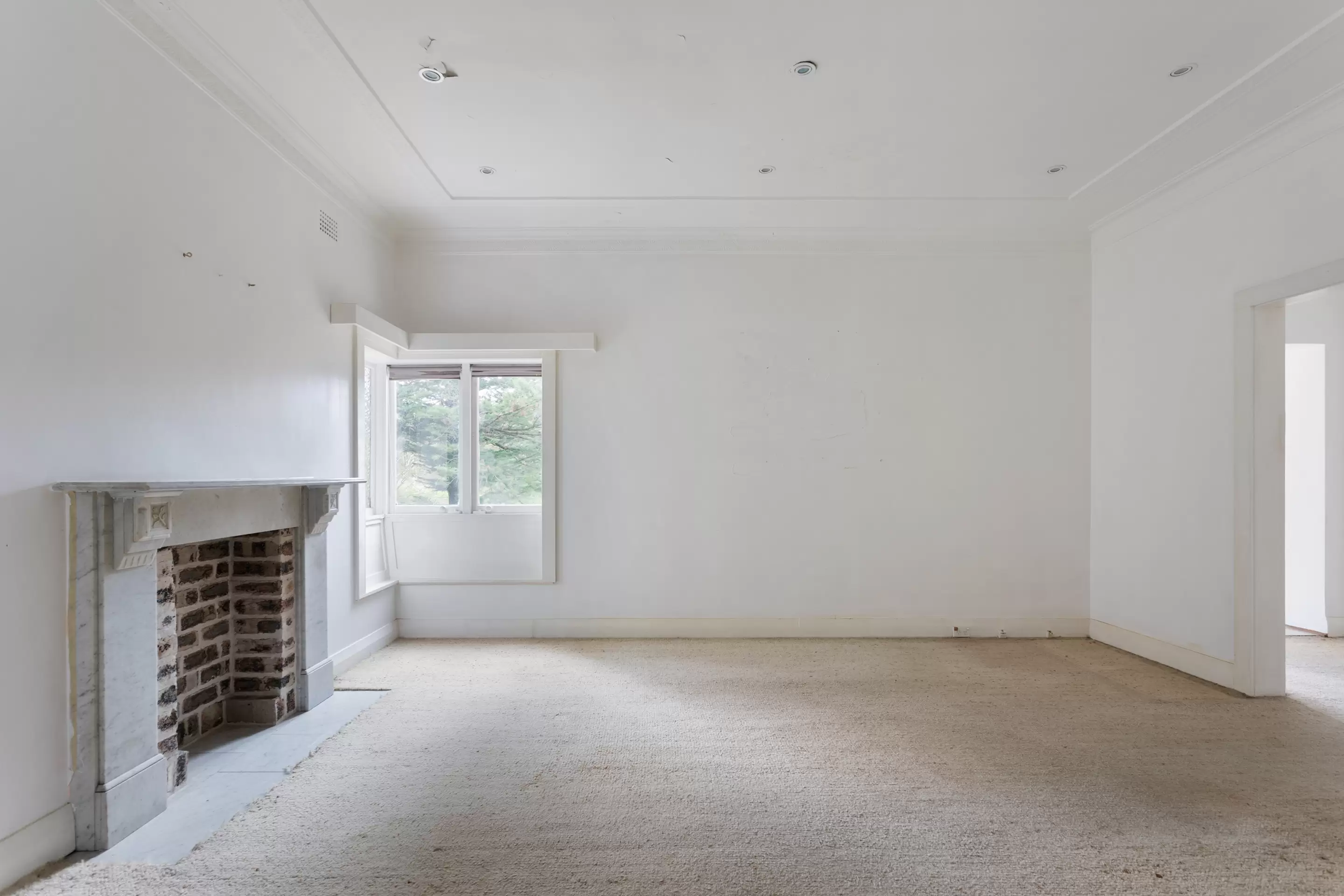 115 Manning Road, Woollahra Auction by Sydney Sotheby's International Realty - image 3