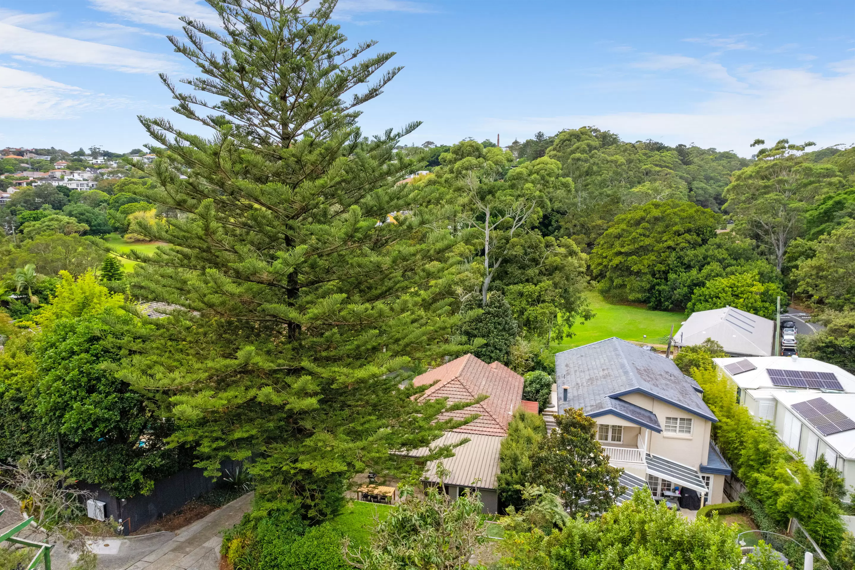 115 Manning Road, Woollahra Auction by Sydney Sotheby's International Realty - image 16