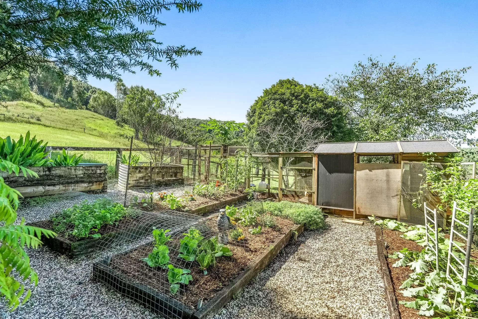 50 Strong Road, Corndale For Sale by Sydney Sotheby's International Realty - image 28