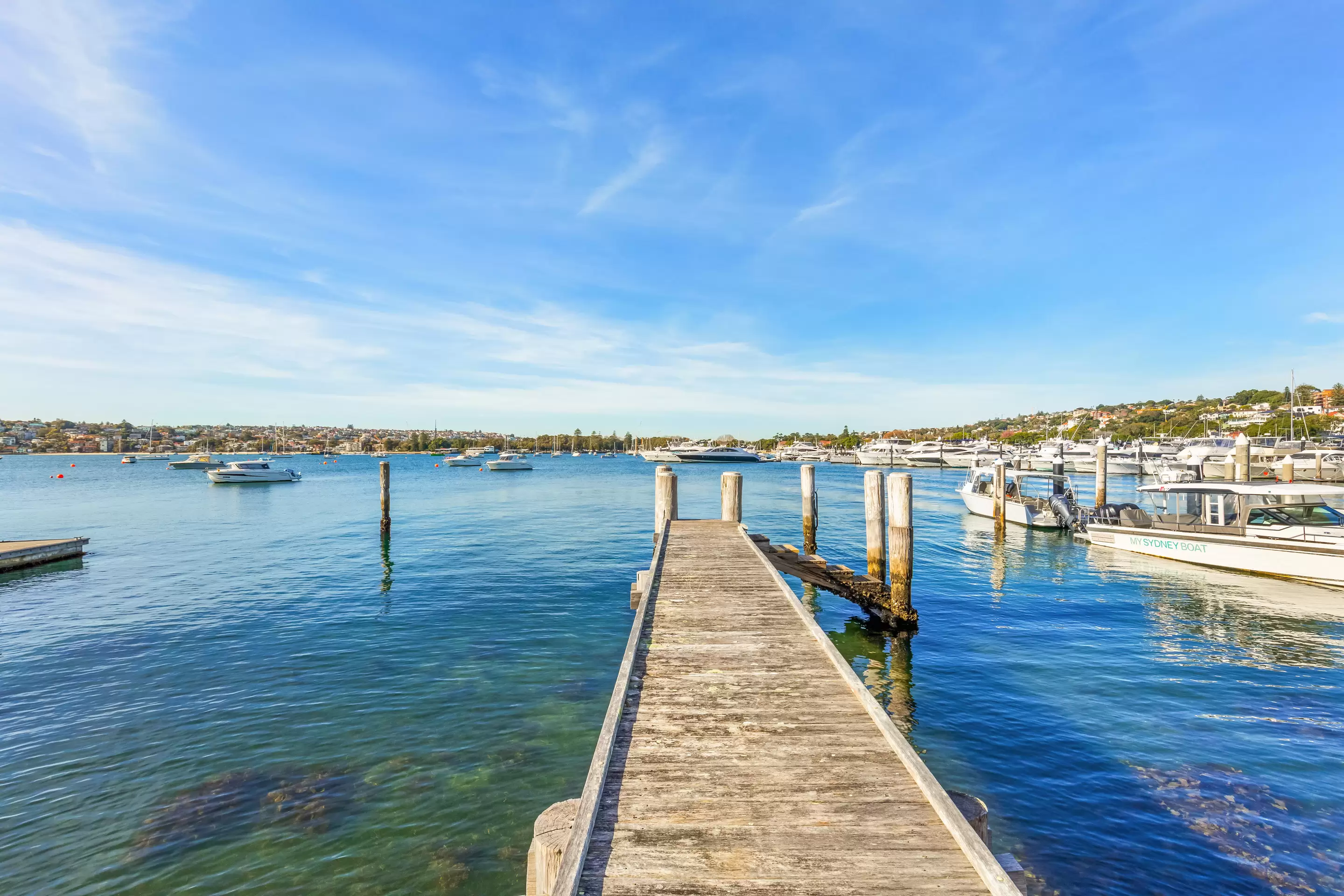 31 Wunulla Road, Point Piper Sold by Sydney Sotheby's International Realty - image 6