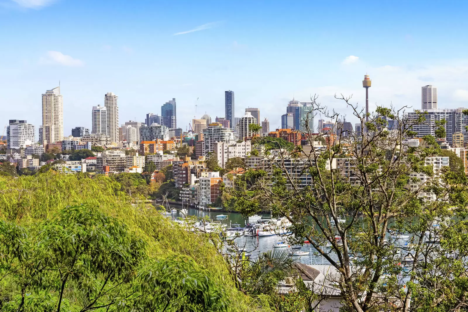 15/54 Darling Point Road, Darling Point Leased by Sydney Sotheby's International Realty - image 3