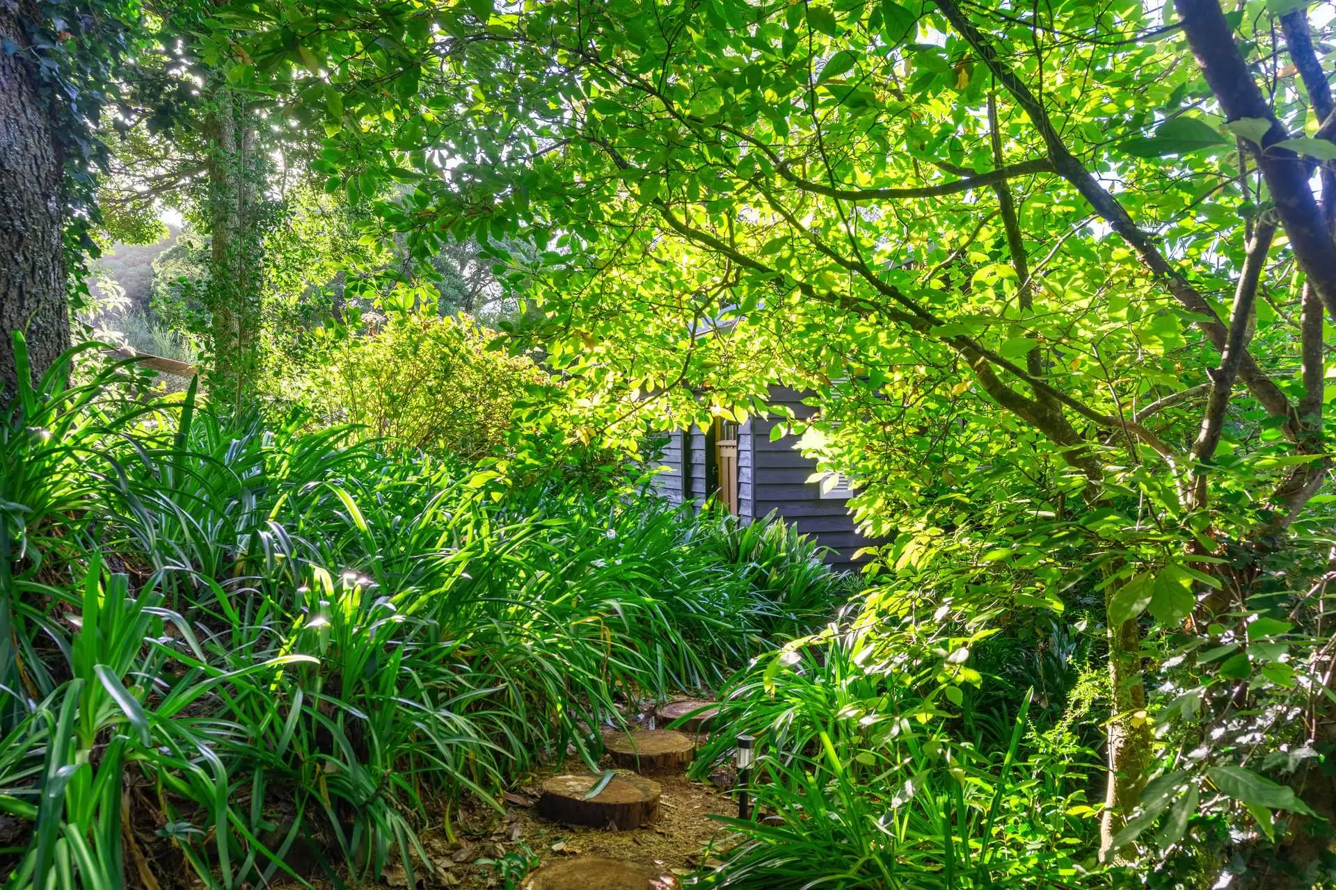 55 Fountaindale Road, Robertson For Sale by Sydney Sotheby's International Realty - image 19