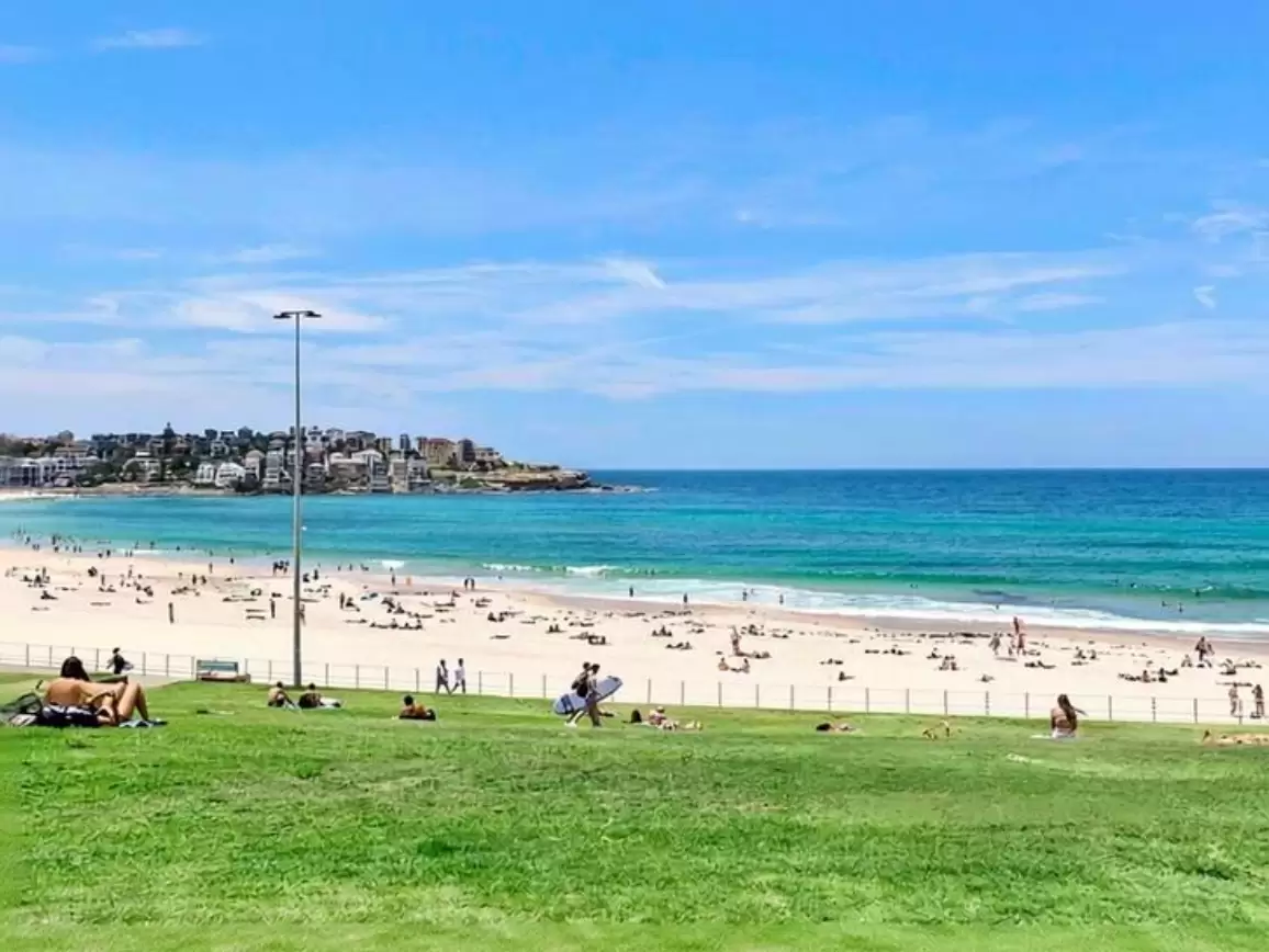 43/48 Military Road, Bondi Leased by Sydney Sotheby's International Realty - image 7