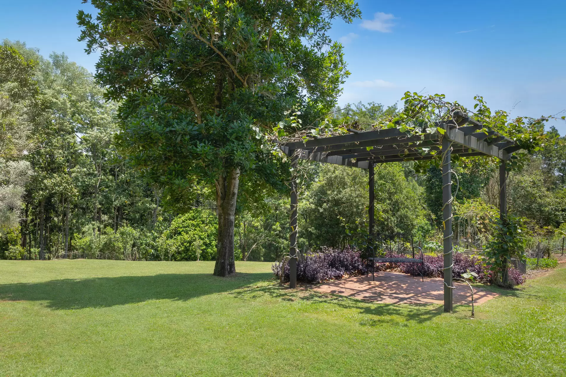 71 Fredericks Lane, Tintenbar Sold by Sydney Sotheby's International Realty - image 22