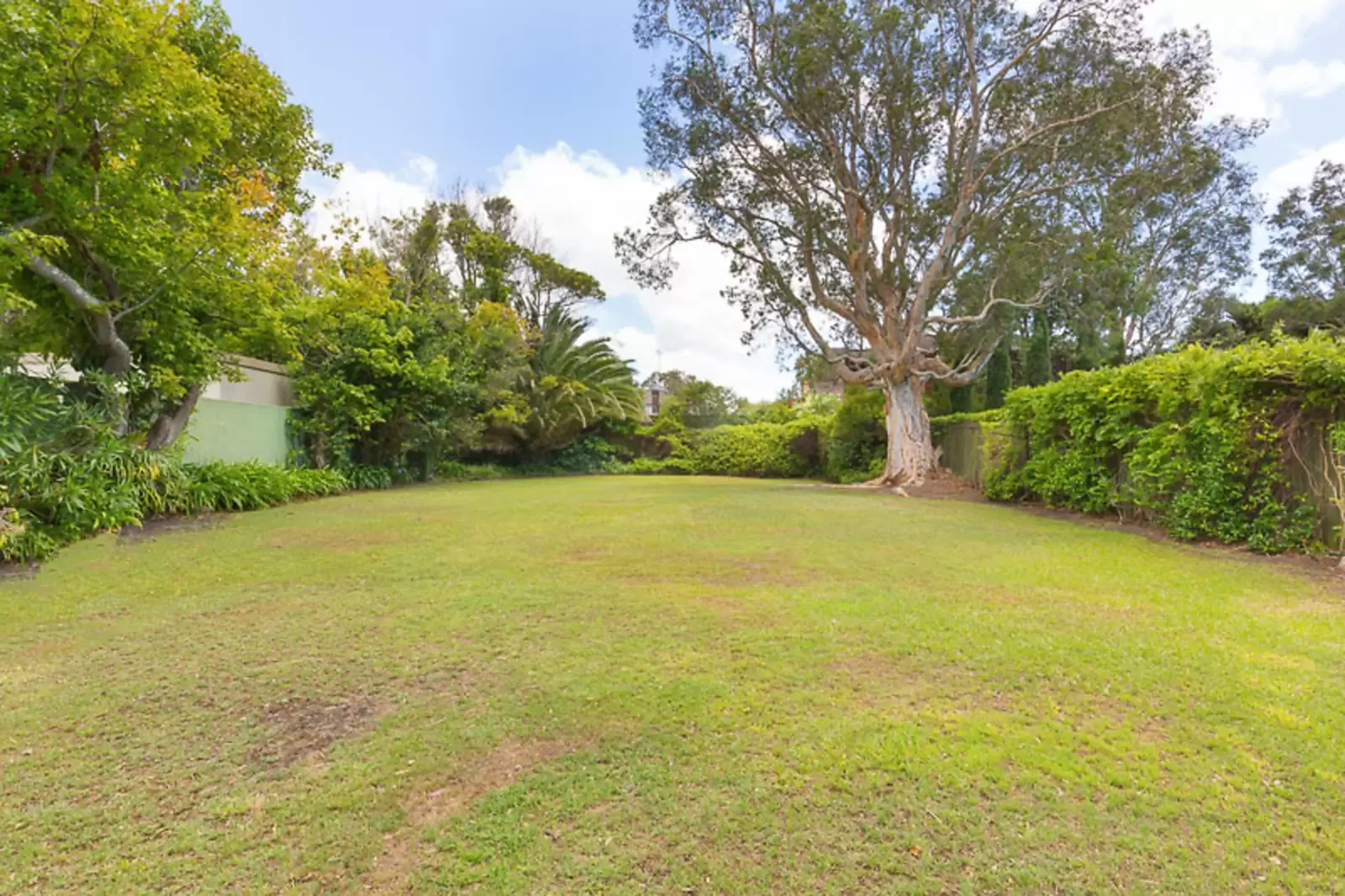 Rose Bay Leased by Sydney Sotheby's International Realty - image 5