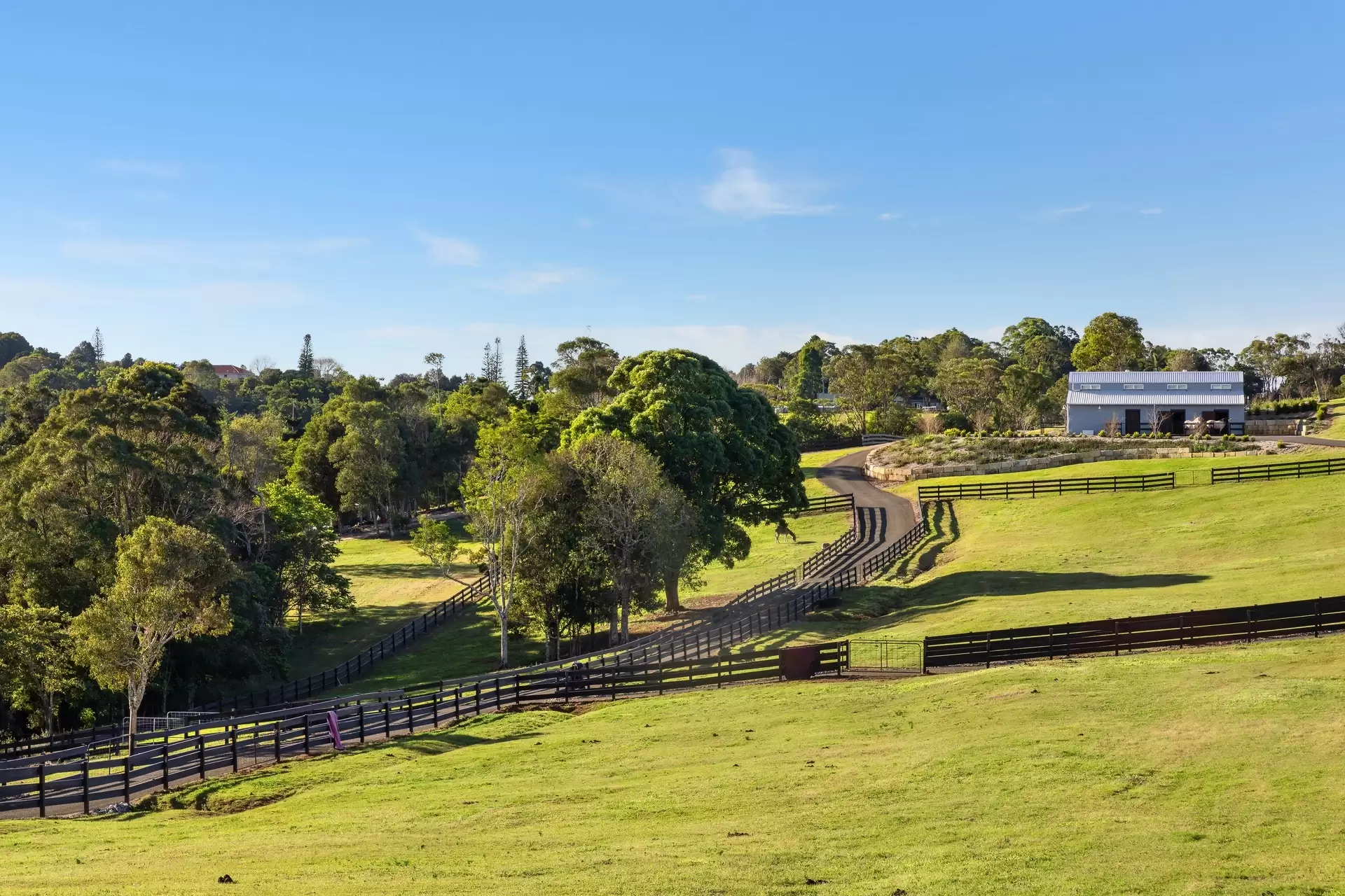 305 Coolamon Scenic Drive, Coorabell For Sale by Sydney Sotheby's International Realty - image 20