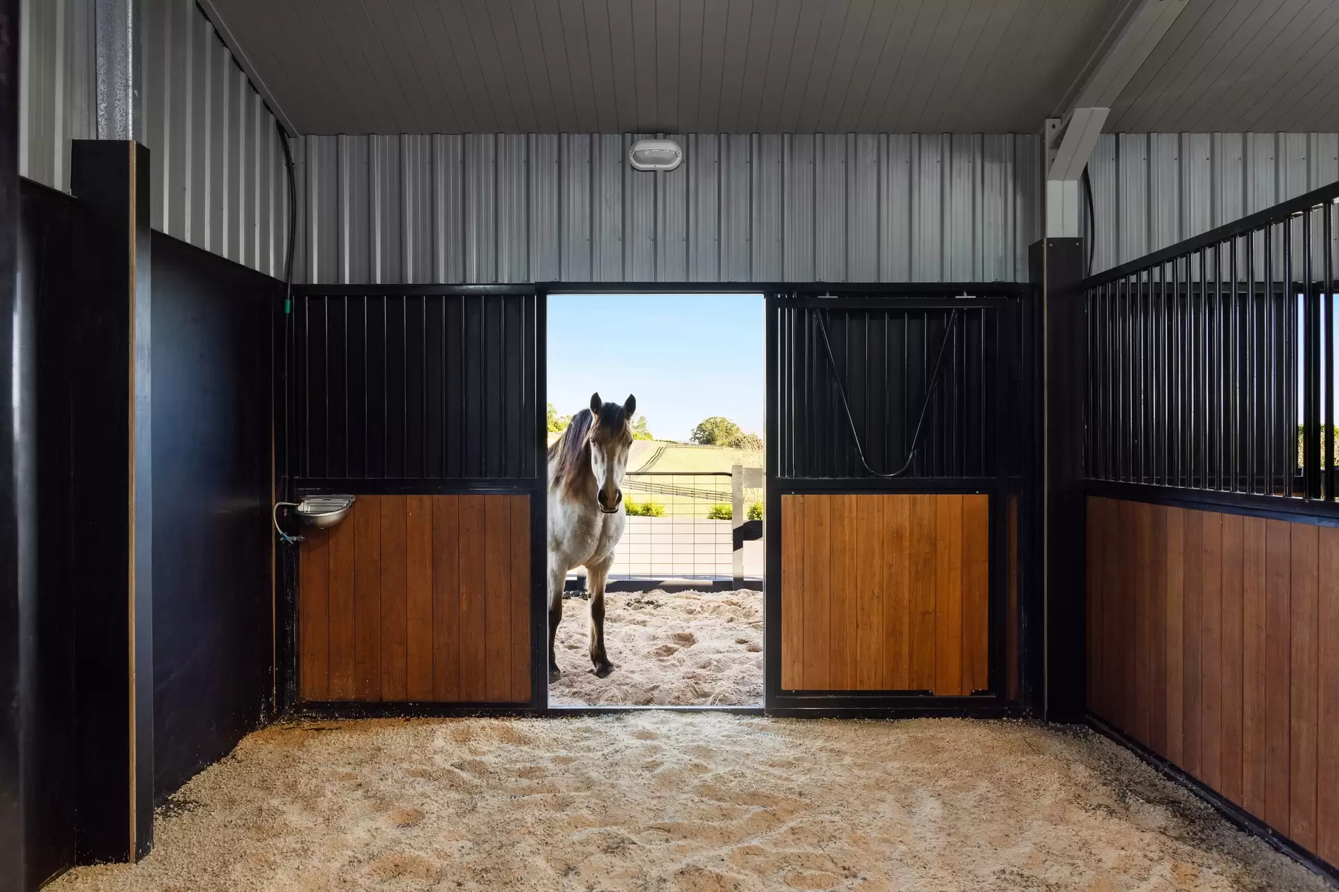 305 Coolamon Scenic Drive, Coorabell For Sale by Sydney Sotheby's International Realty - image 23