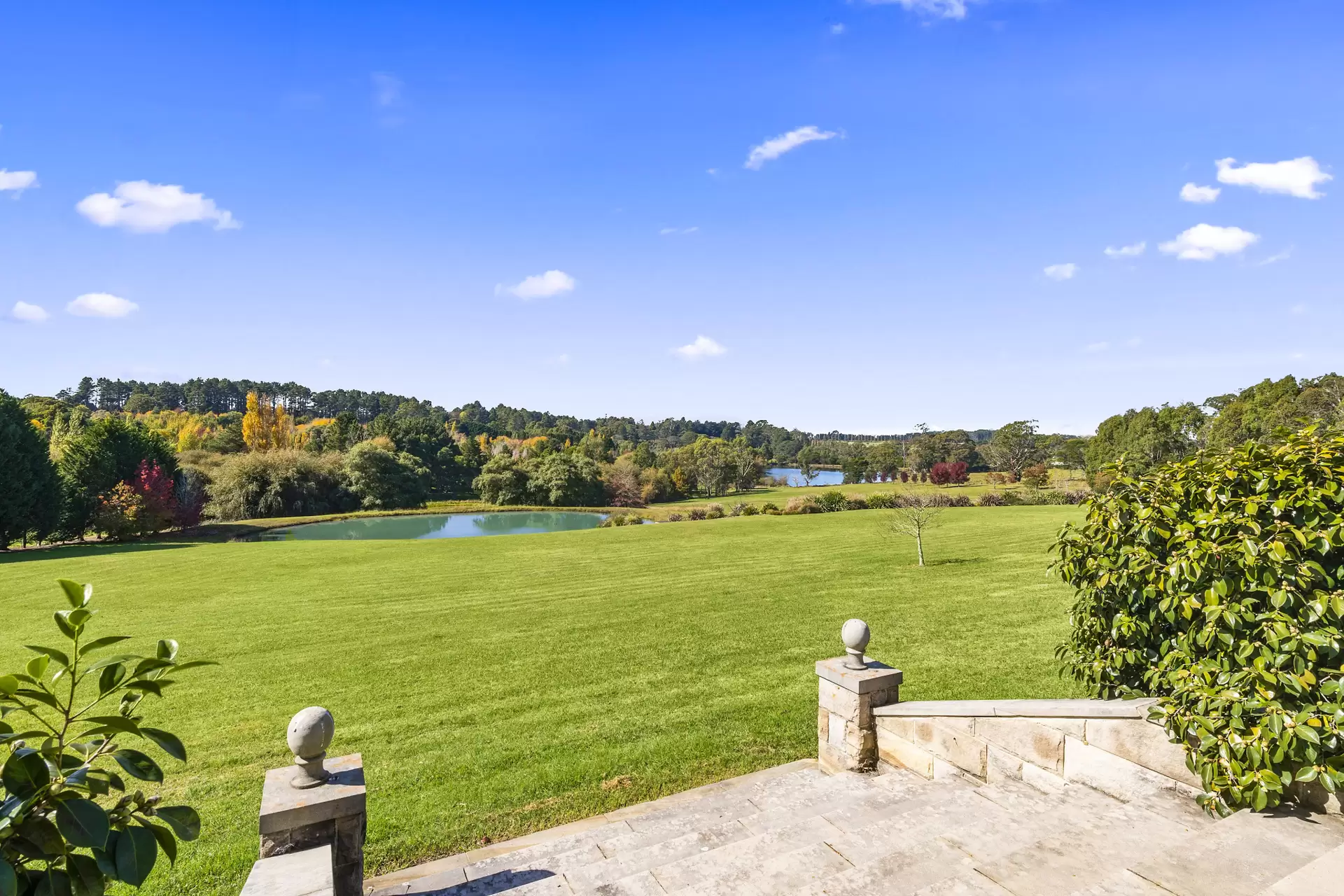 470 Ellsmore Road, Exeter For Sale by Sydney Sotheby's International Realty - image 3