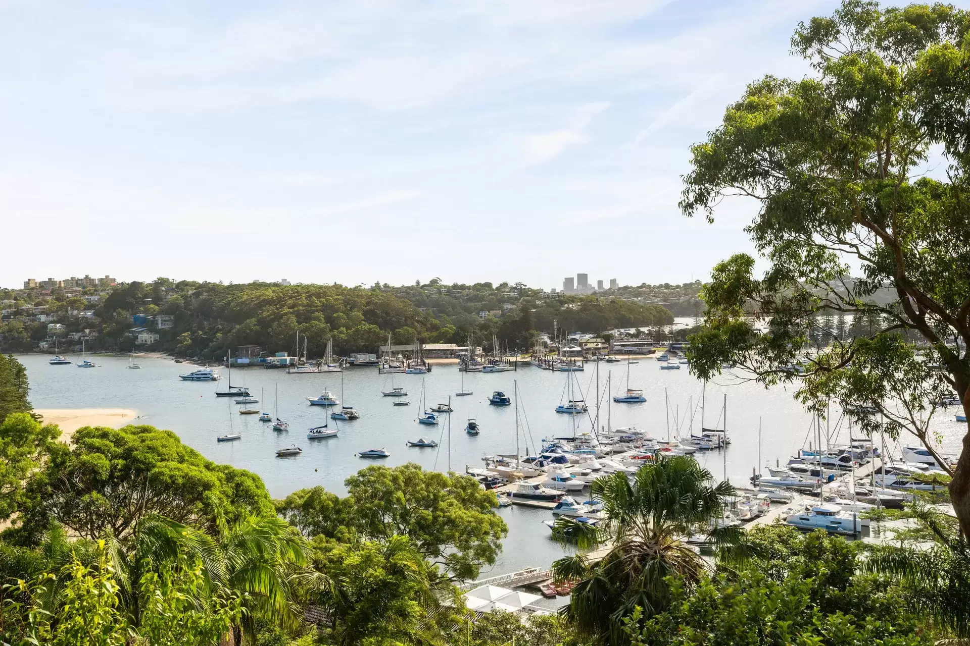 15 Peronne Avenue, Clontarf Sold by Sydney Sotheby's International Realty - image 7