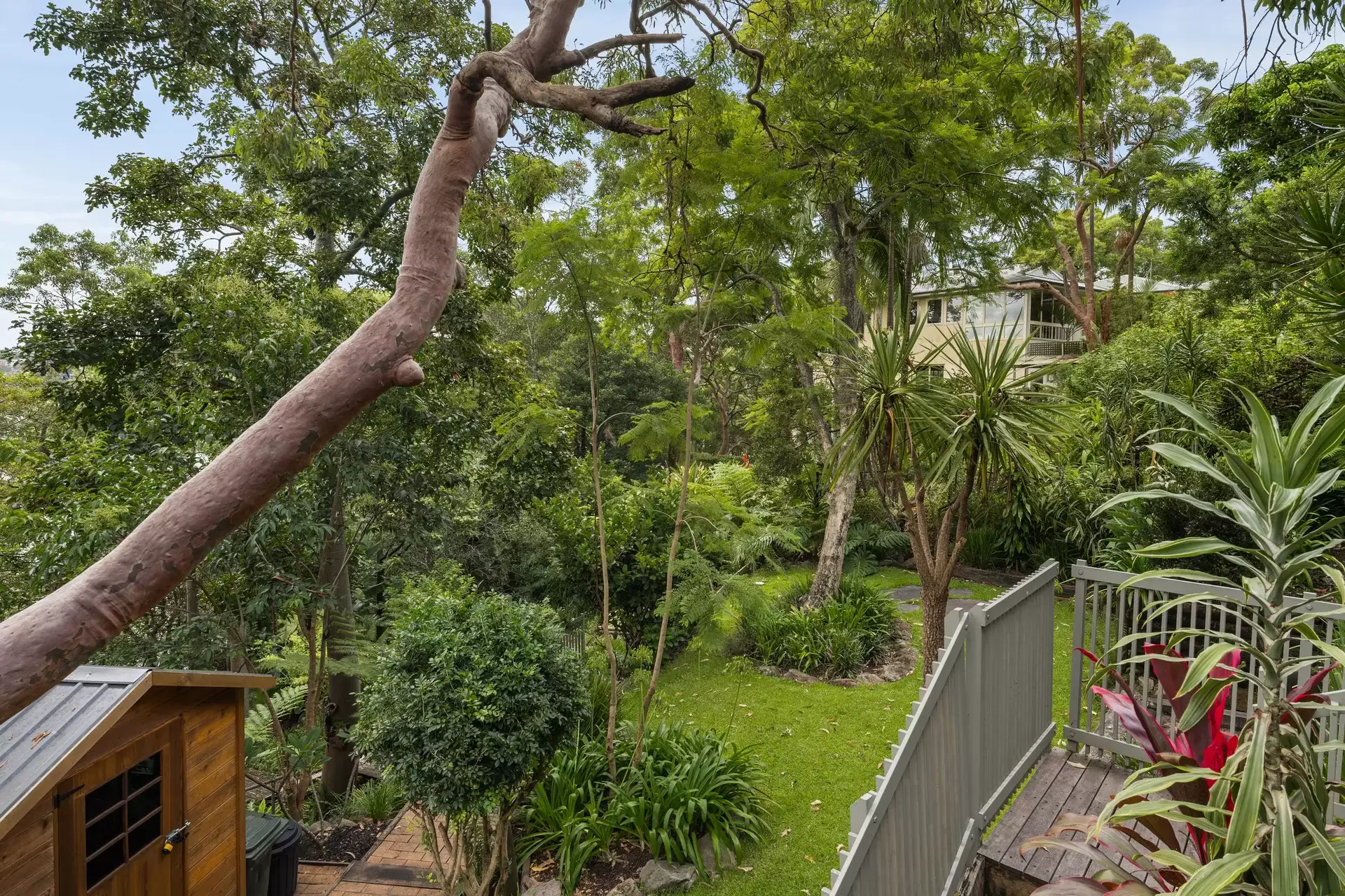 15 Peronne Avenue, Clontarf Sold by Sydney Sotheby's International Realty - image 15