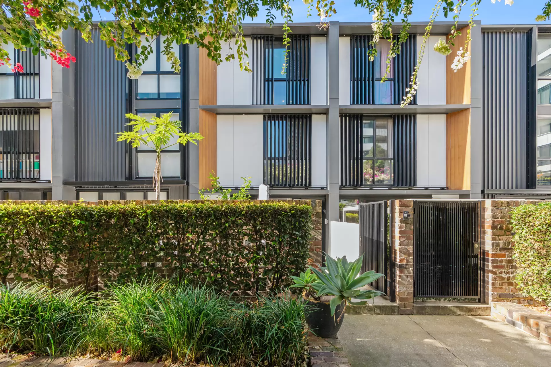 63A Wilson Street, Botany Sold by Sydney Sotheby's International Realty - image 13